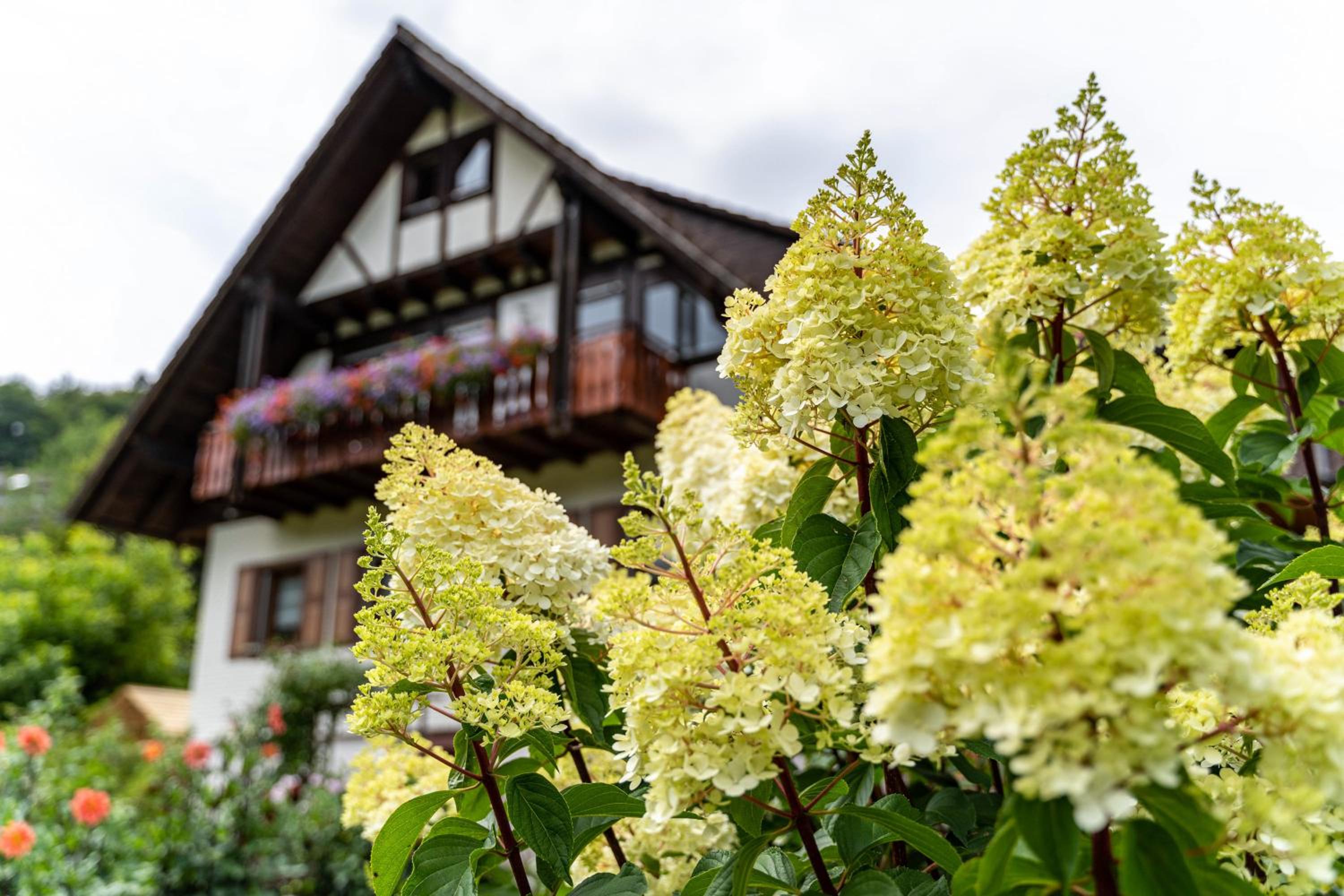 Am Döttelbach