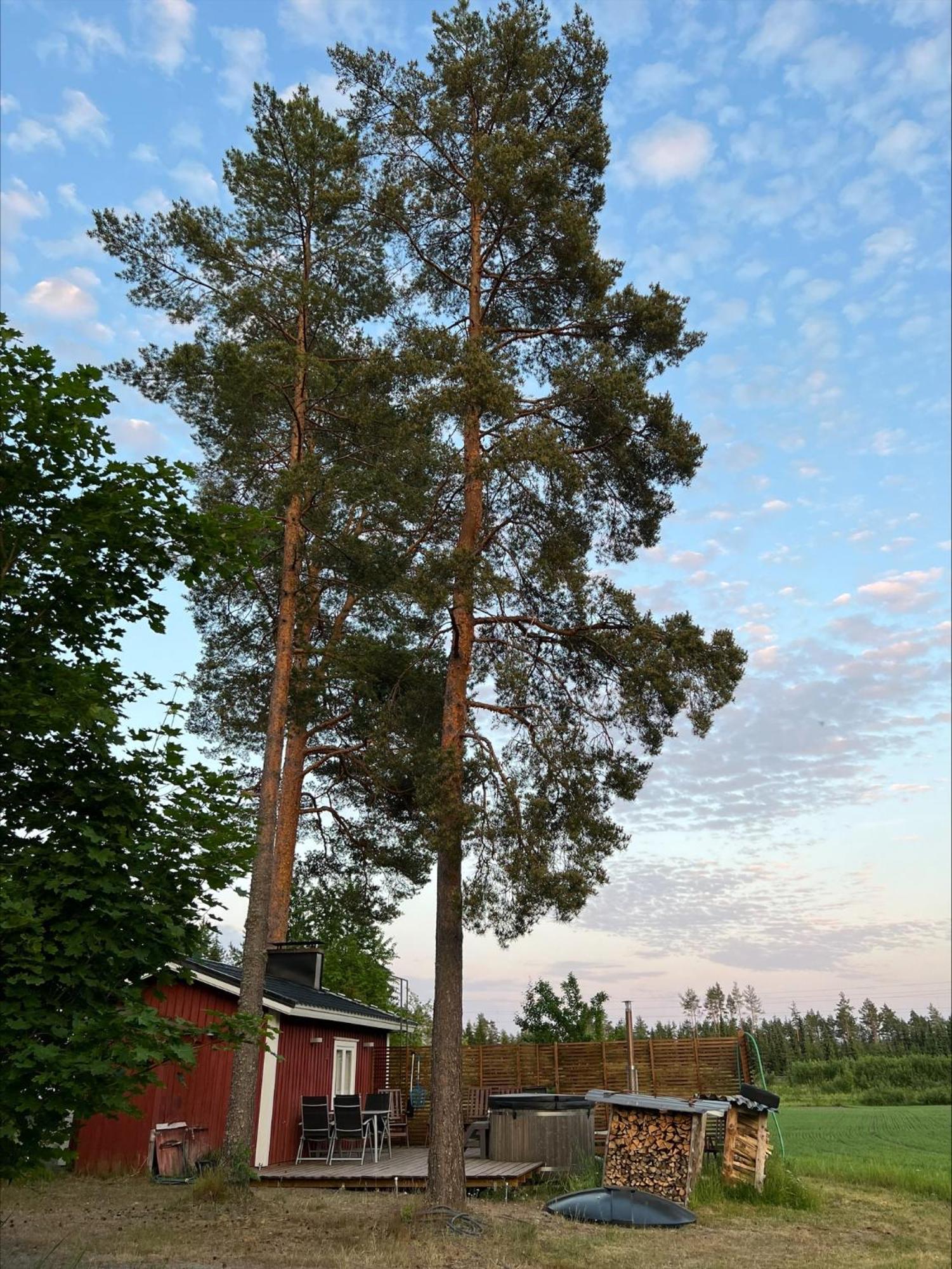 Photo 51