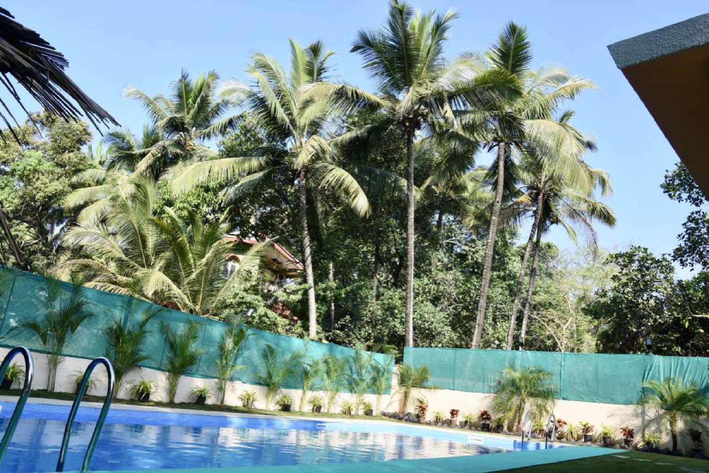 The Bluebell Goa view 4