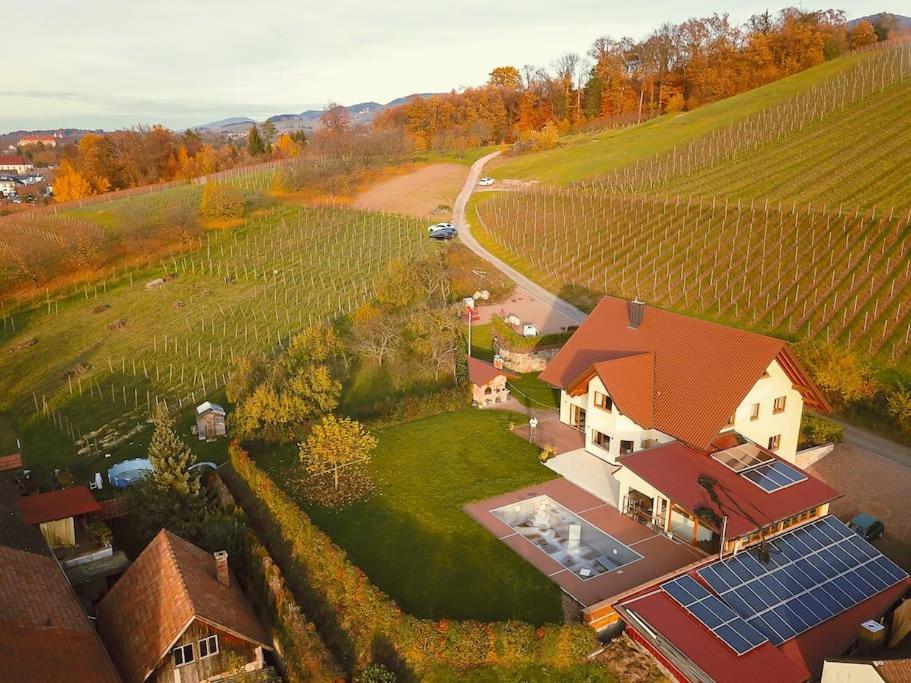 Schwarzwaldtraum am Weinberg