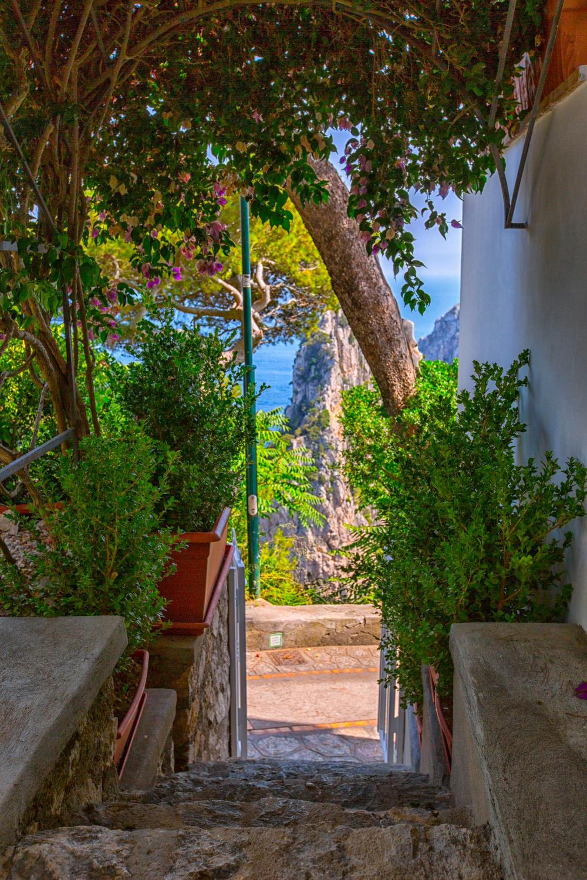 Faraglionensis MonaconeHouse Villa