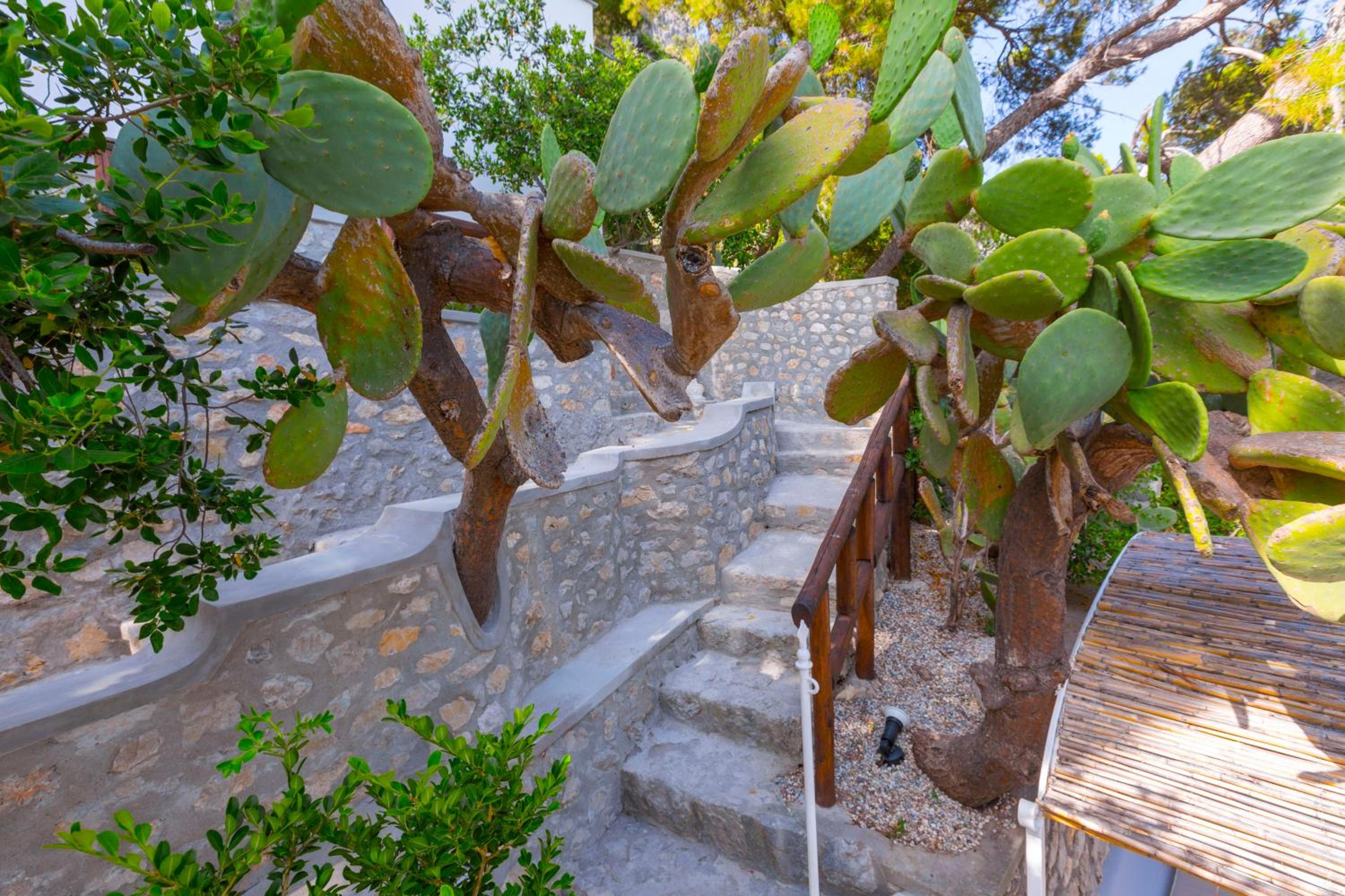 Faraglionensis MonaconeHouse Villa