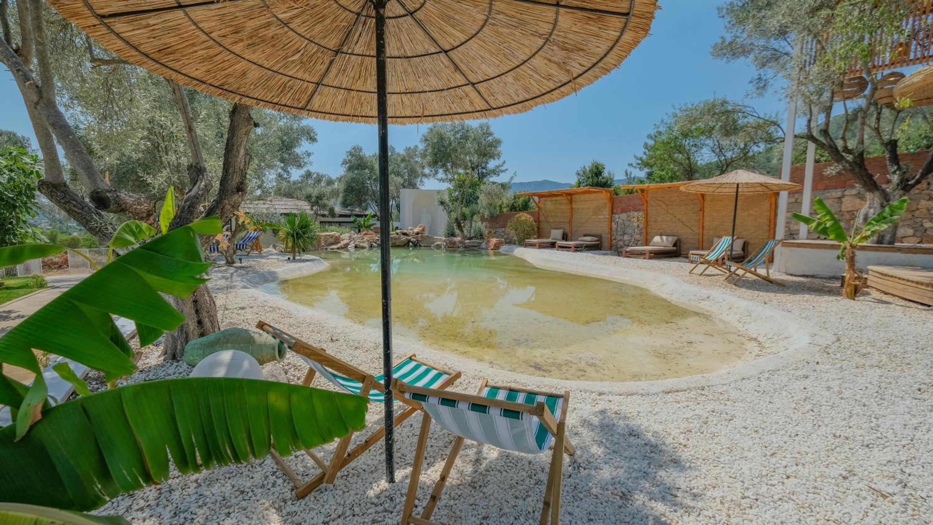 Zai Jardin