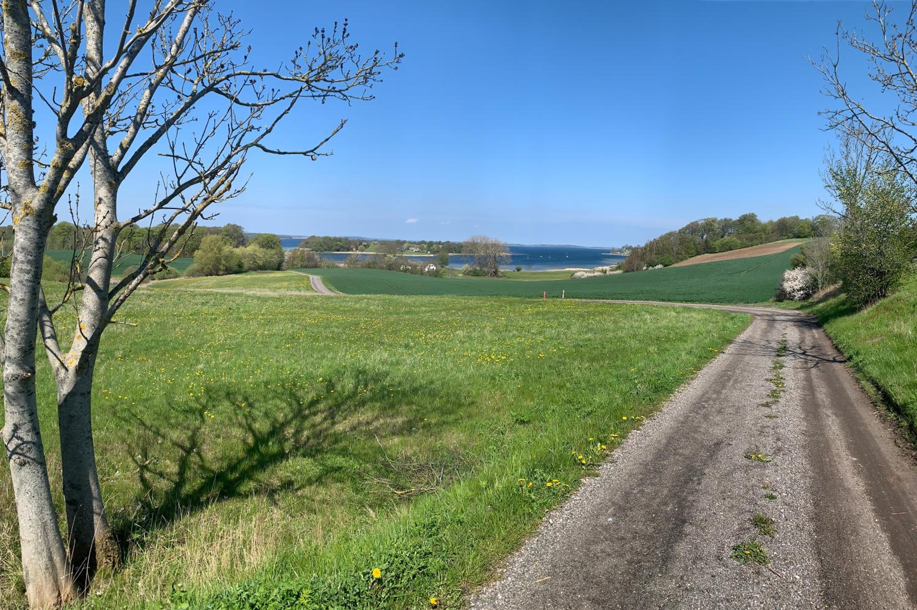 VikingBnB