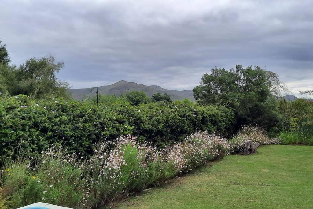 Little Oak Cottage view 4