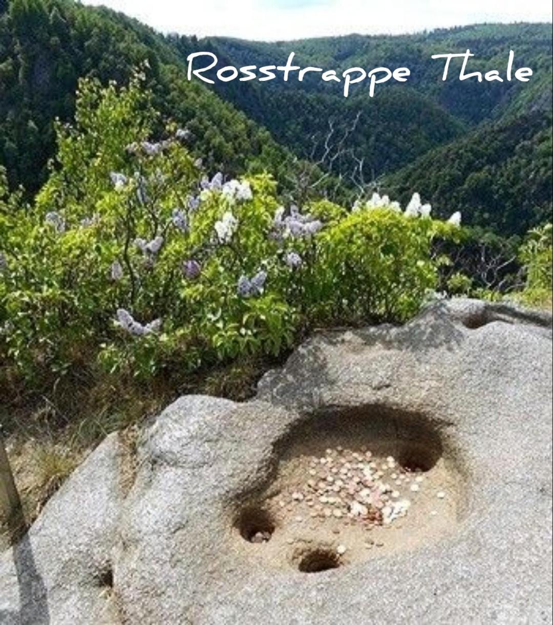 Köbbelshof