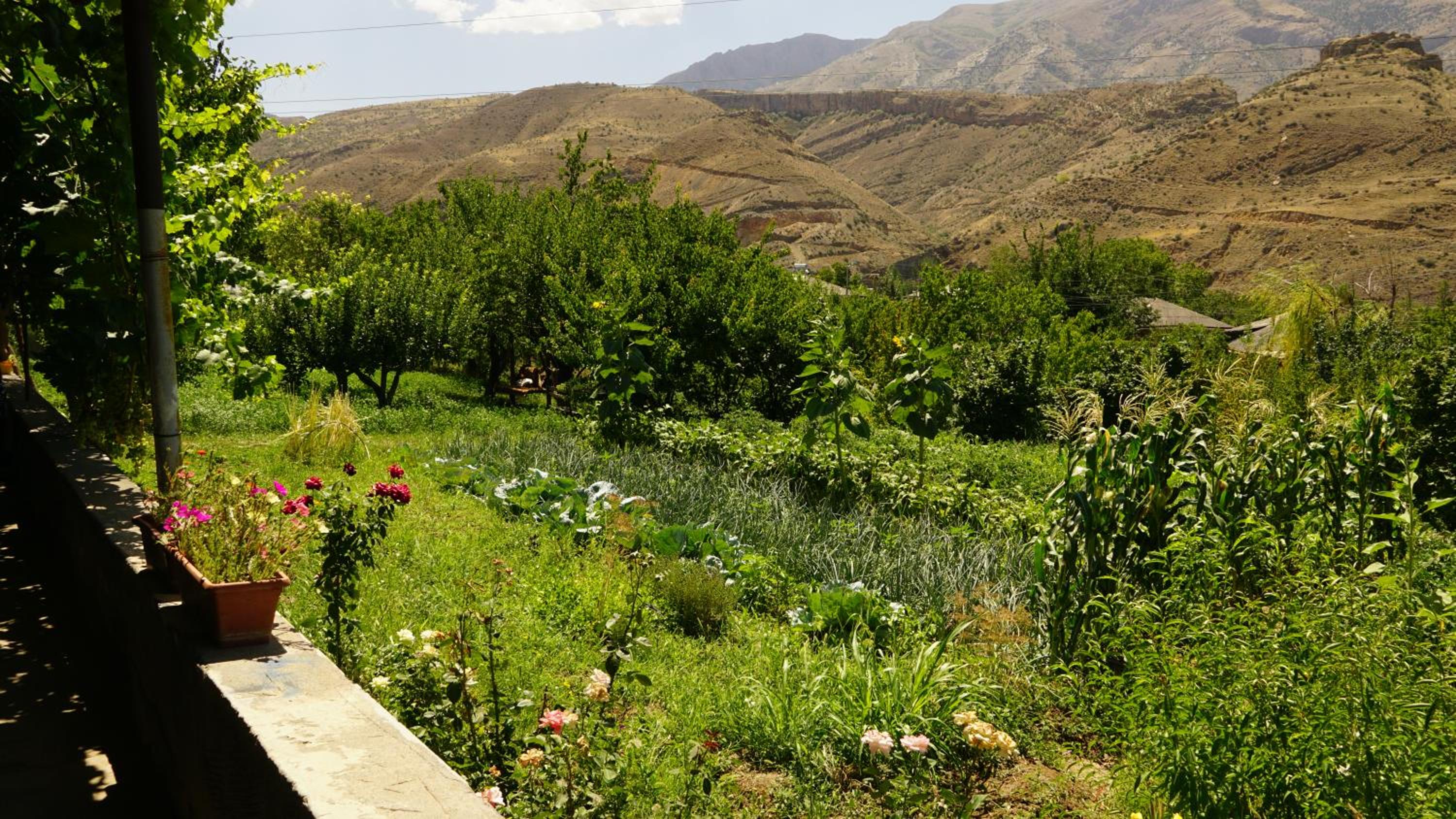 Arpi-Ureni Guesthouse