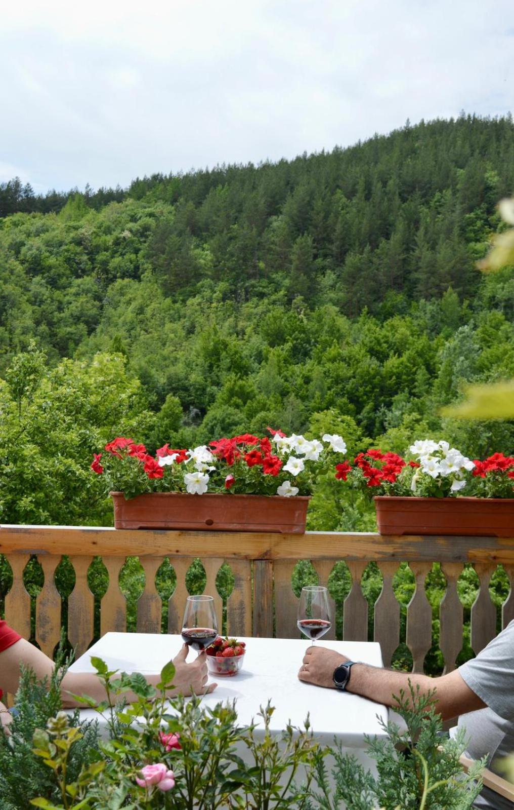 Muntele cu dor view 3