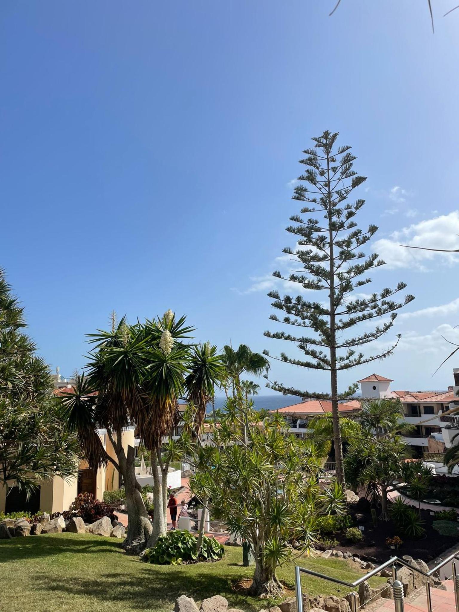 Paraiso ALBATROS, beautiful complex