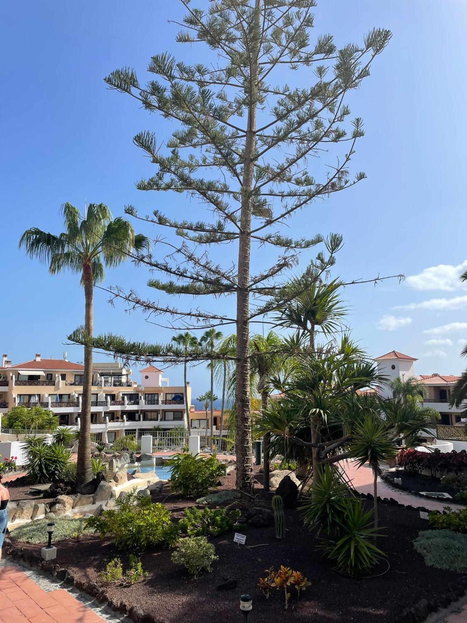 Paraiso ALBATROS, beautiful complex