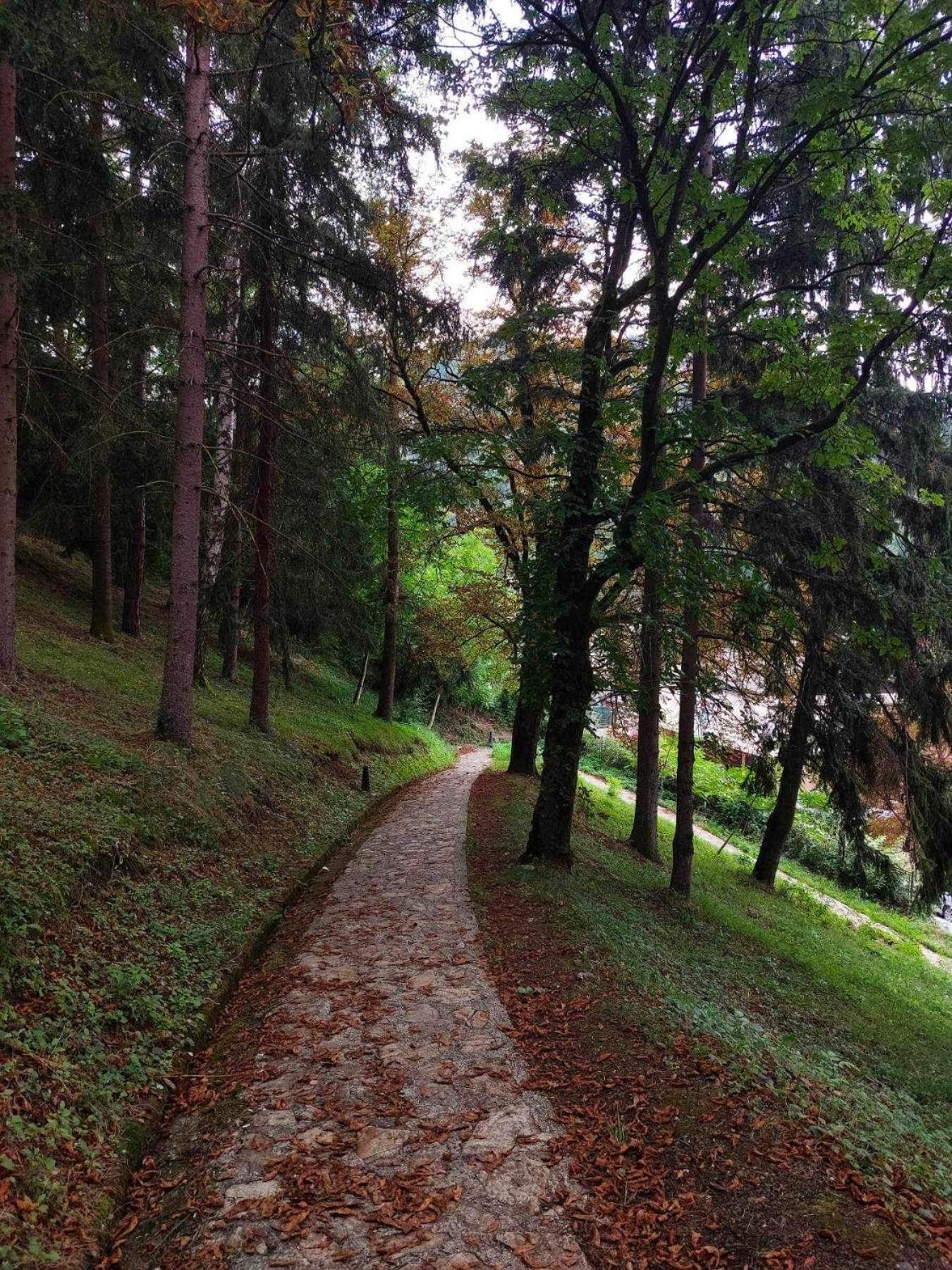 Apartmani Golubina - Visegrad