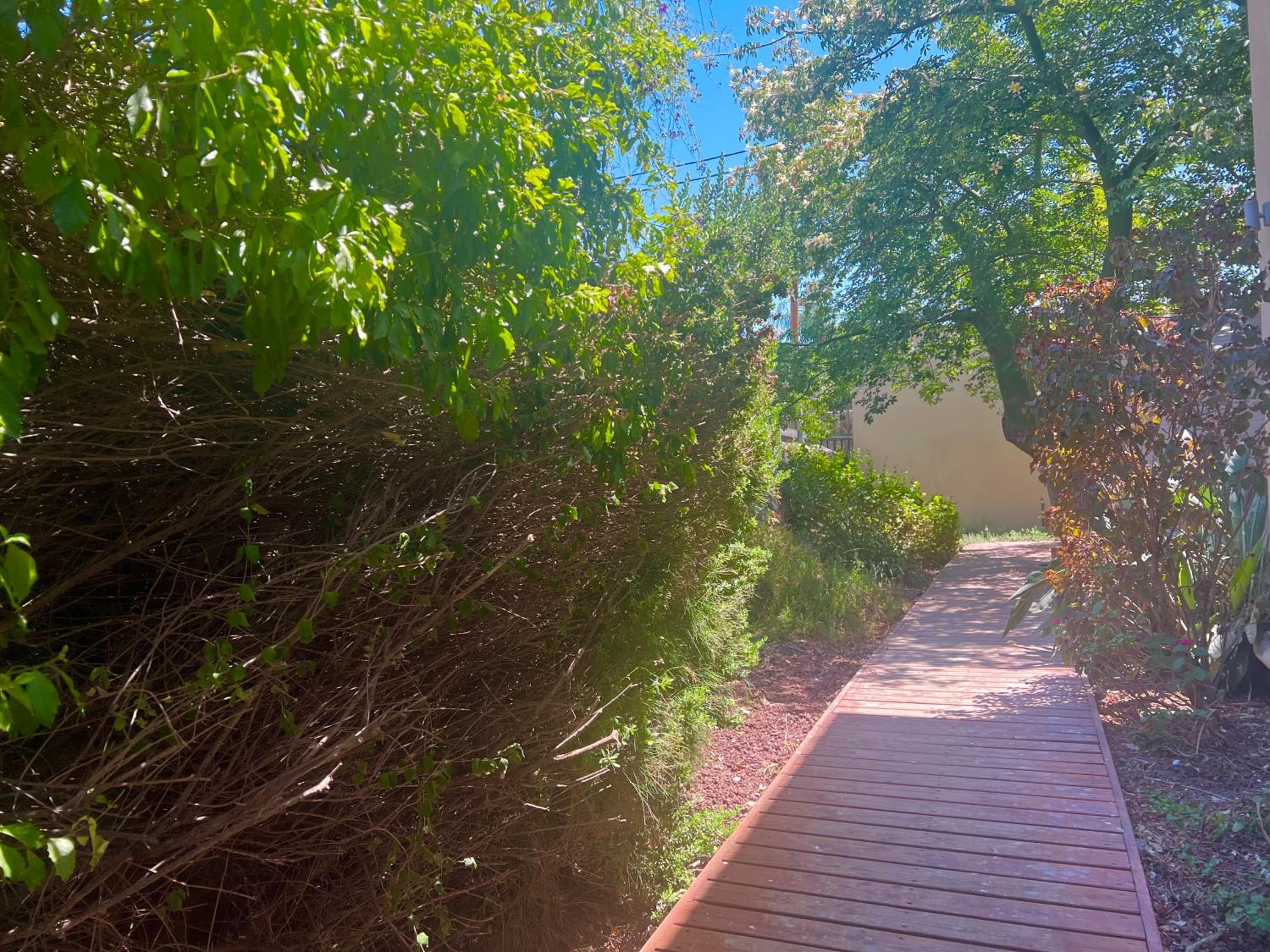 Cabin Eretz Ha-Kineret view 3