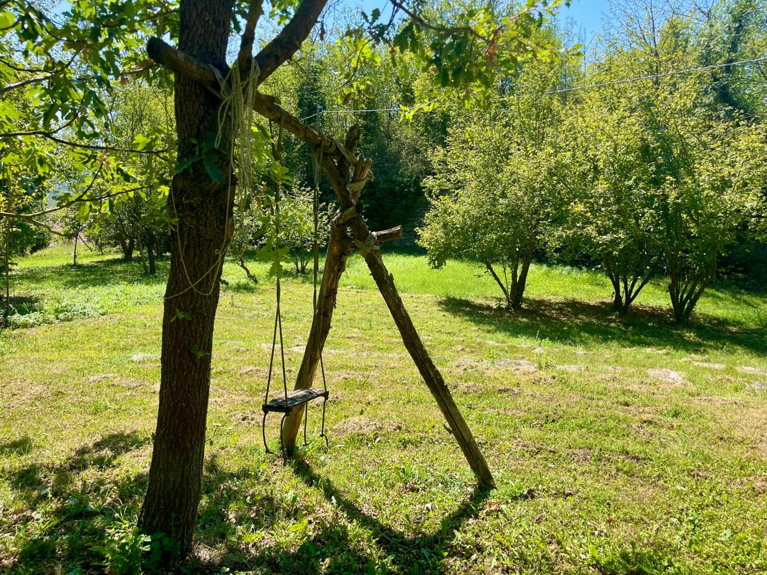 Photo 47
