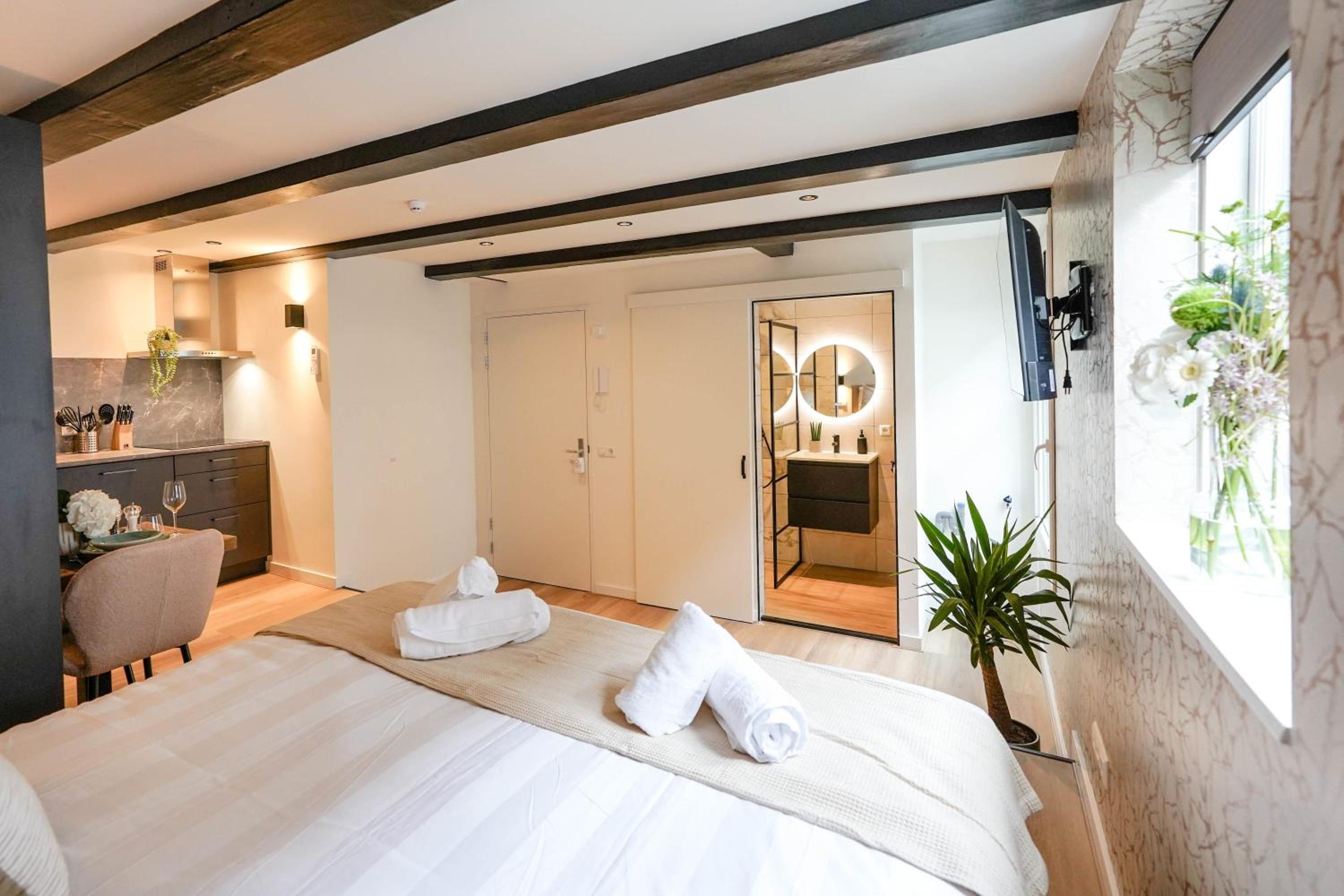 Luxury City Center Studio view 3