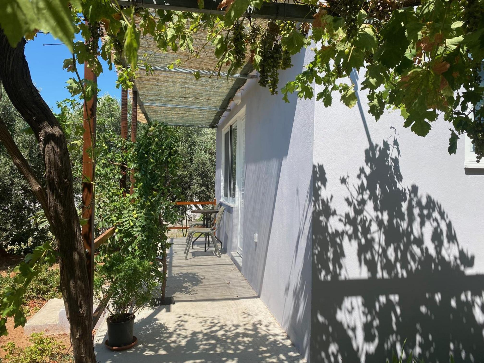 Vine Veranda