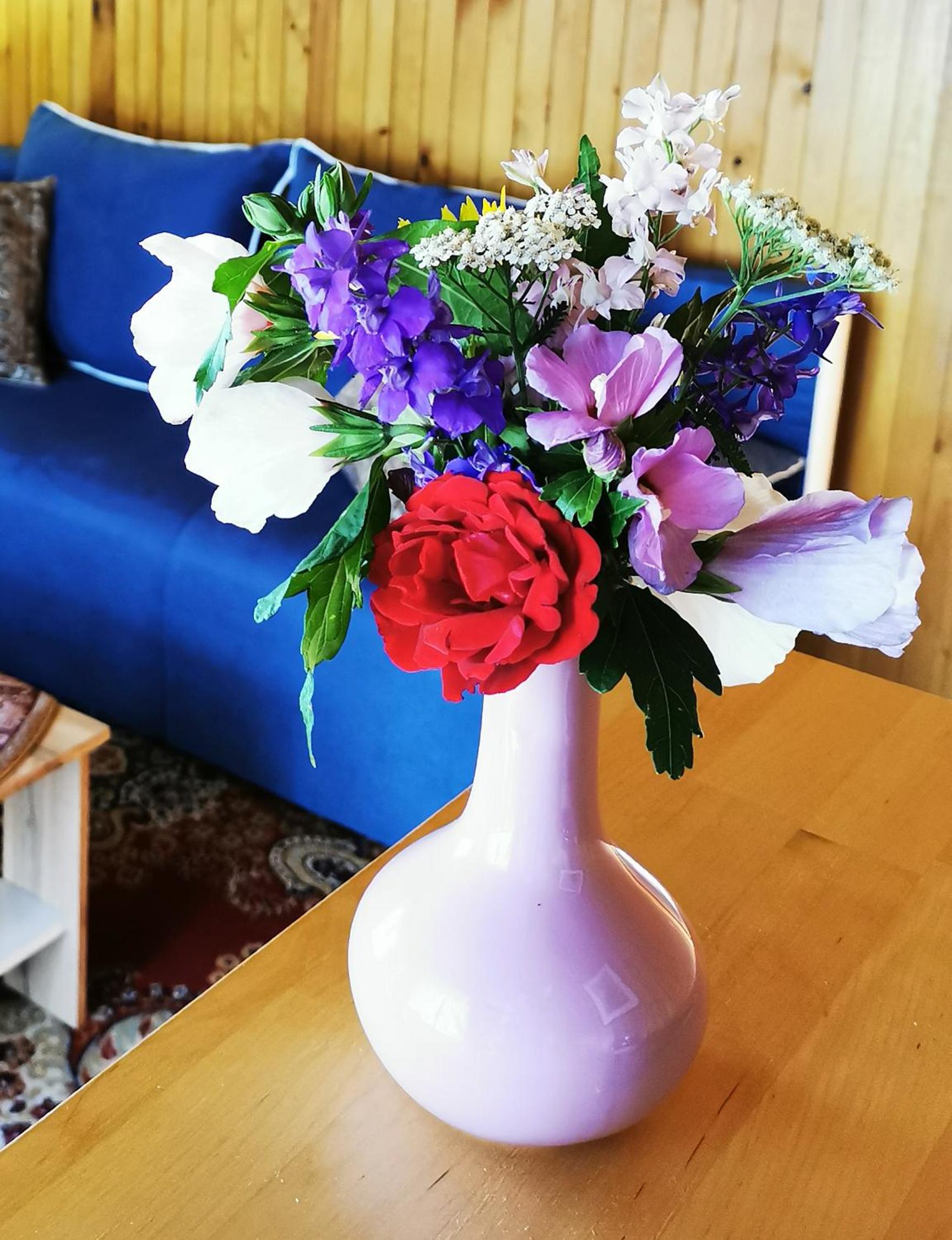 Photo 42