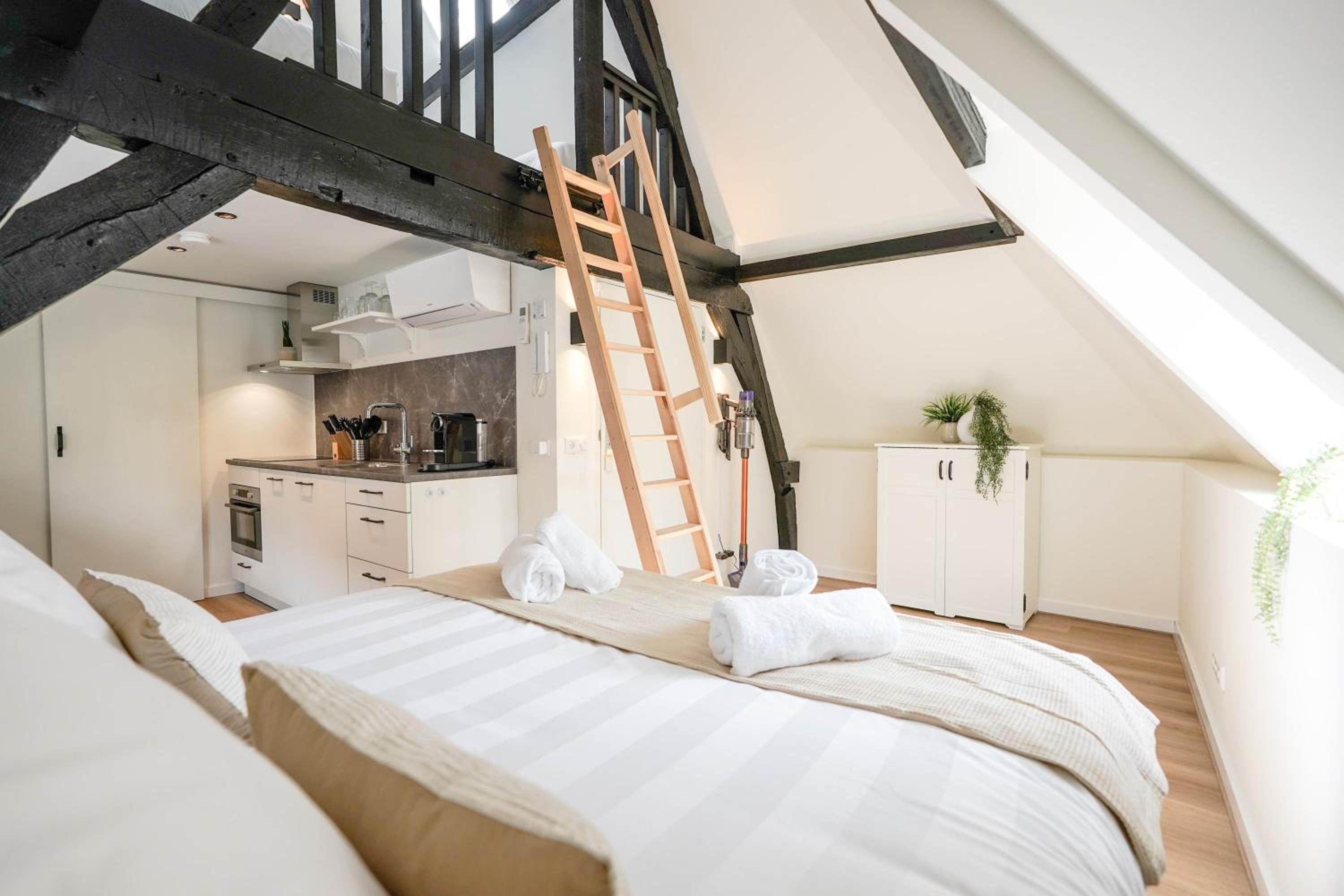 Beautiful Apartment With Loft