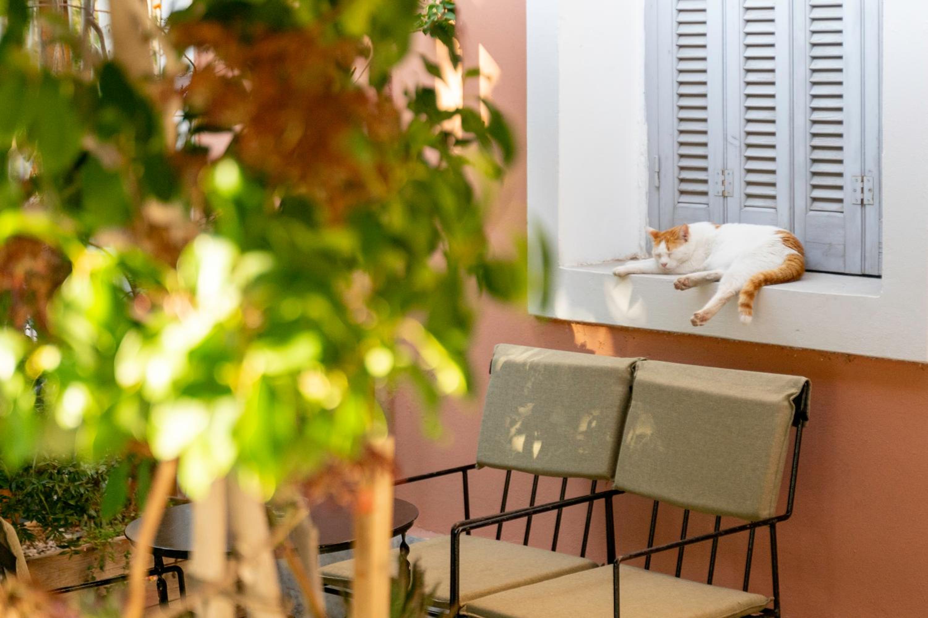 Comfy 2 Bedroom Apartment with Balcony in Athens