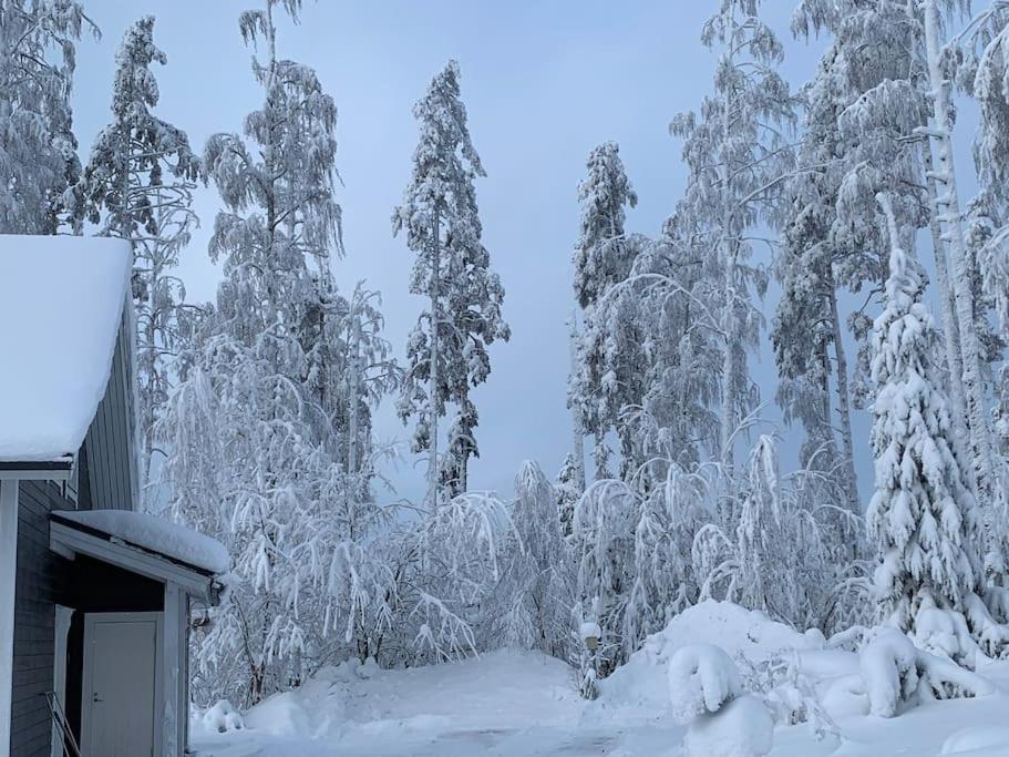 Villa Riihitonttu - Cozy Cabin for 8 Guests