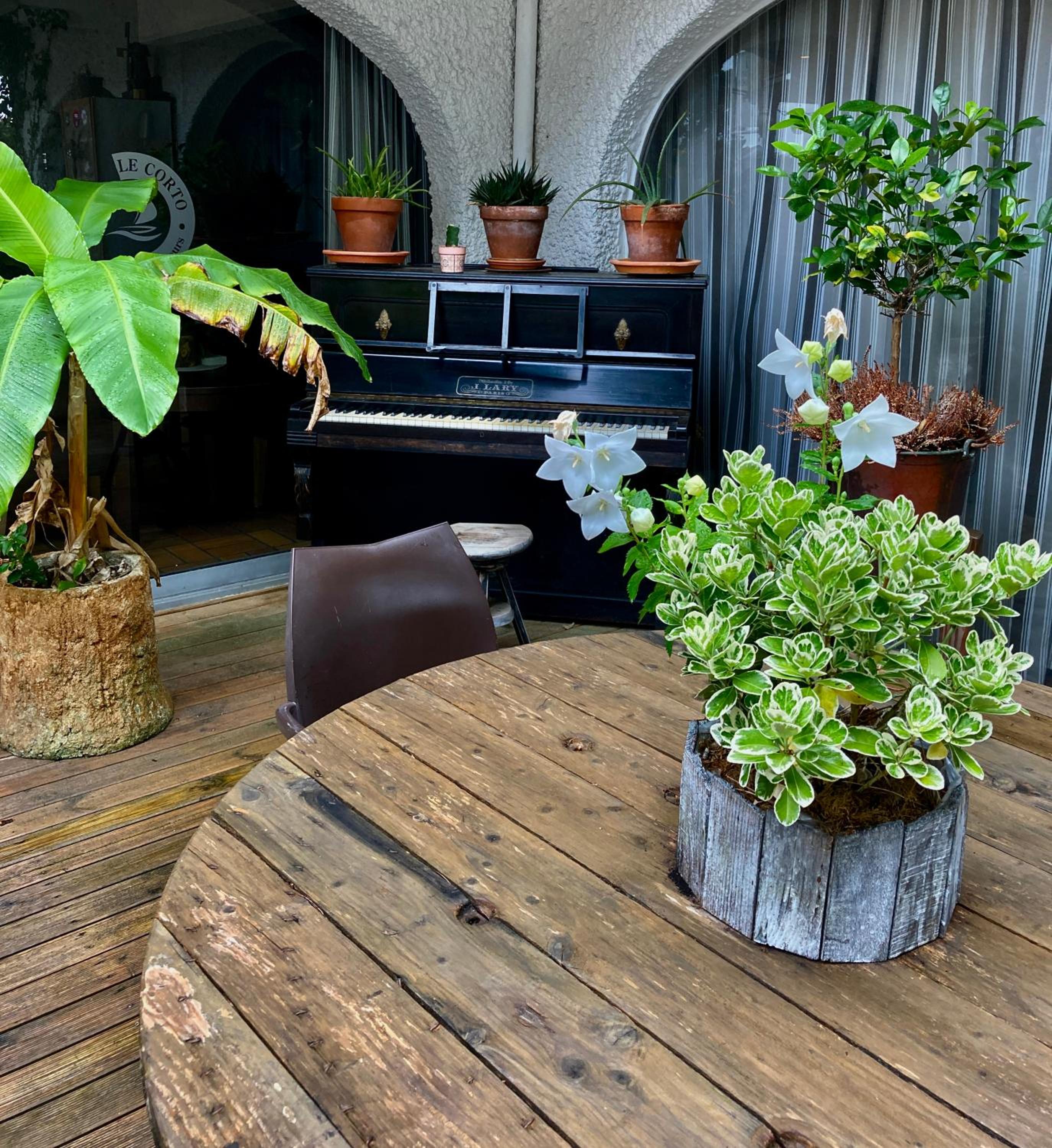 outdoor BBQ area