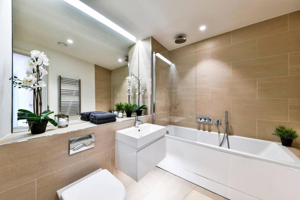 Knightsbridge/Chelsea penthouse