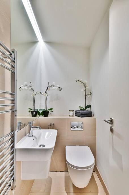 Knightsbridge/Chelsea penthouse