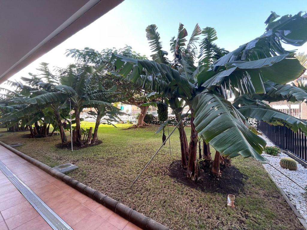 Seaview Apartment Los Cactus