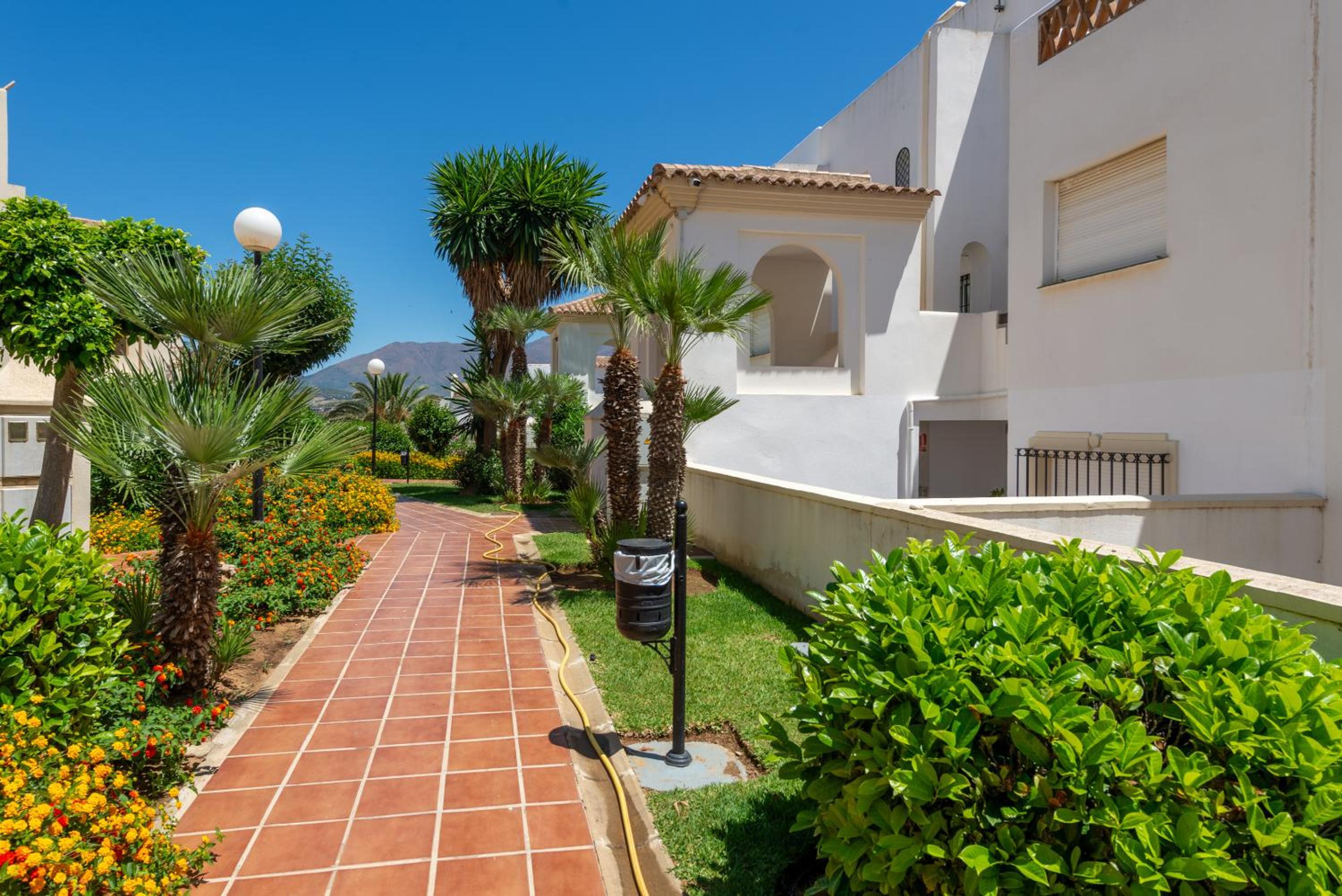 Estrella de Bahia Casares