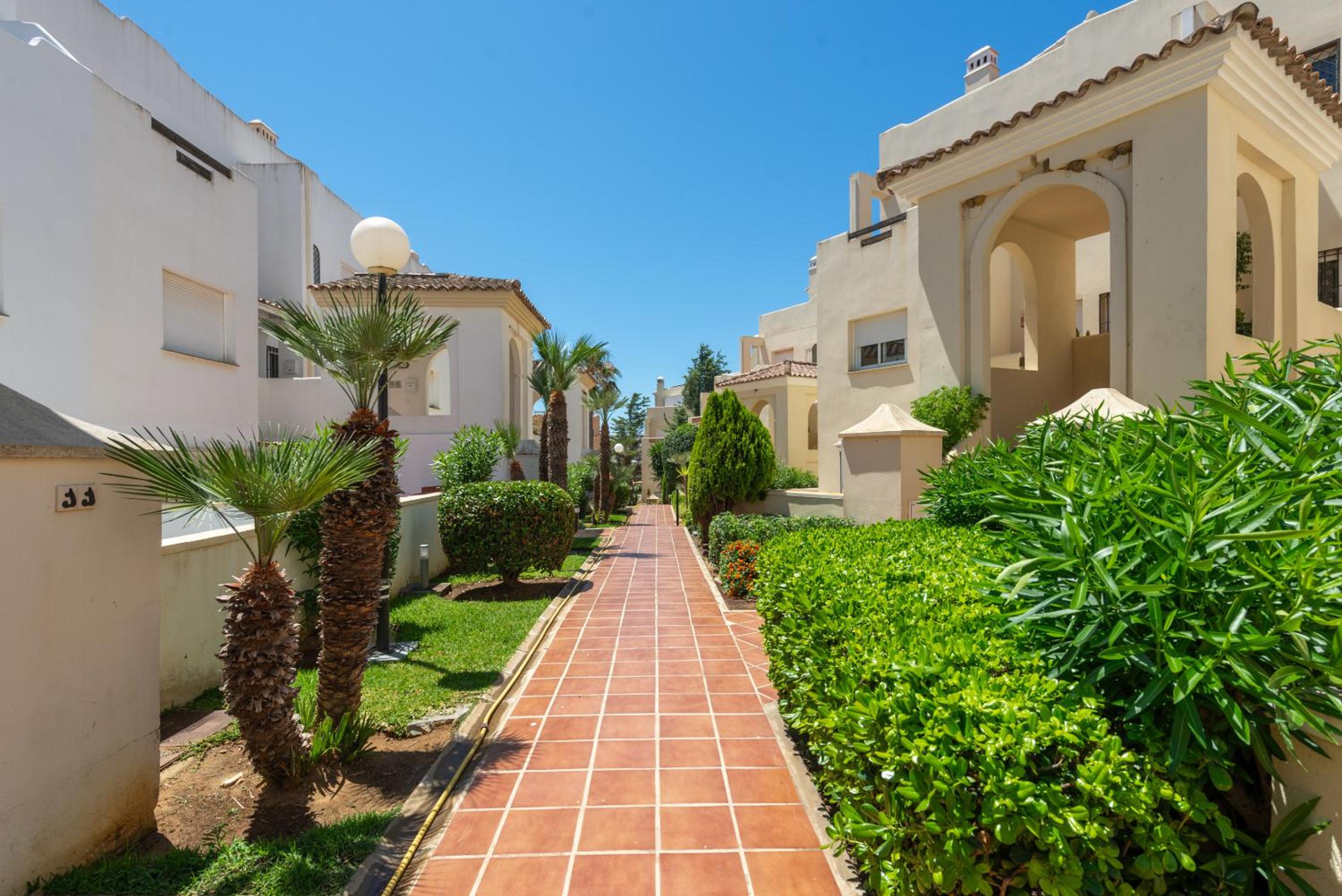 Estrella de Bahia Casares