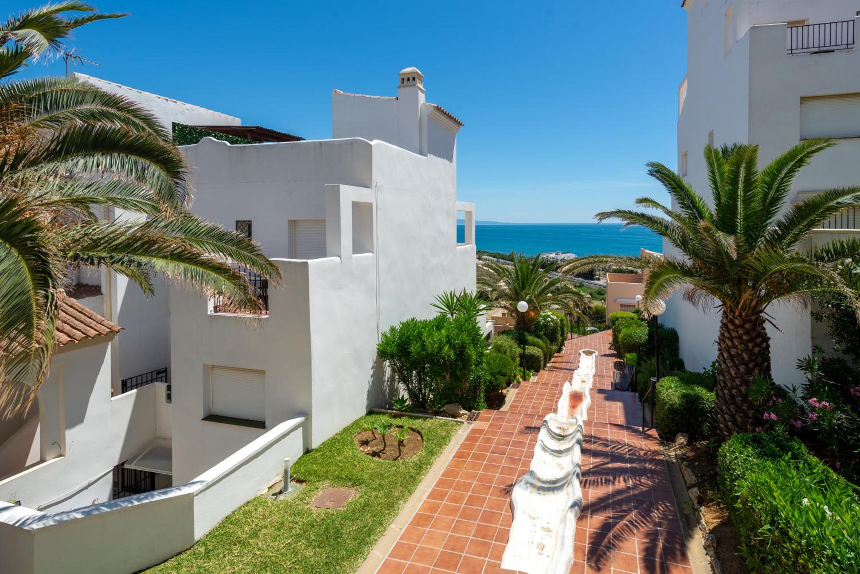 Estrella de Bahia Casares