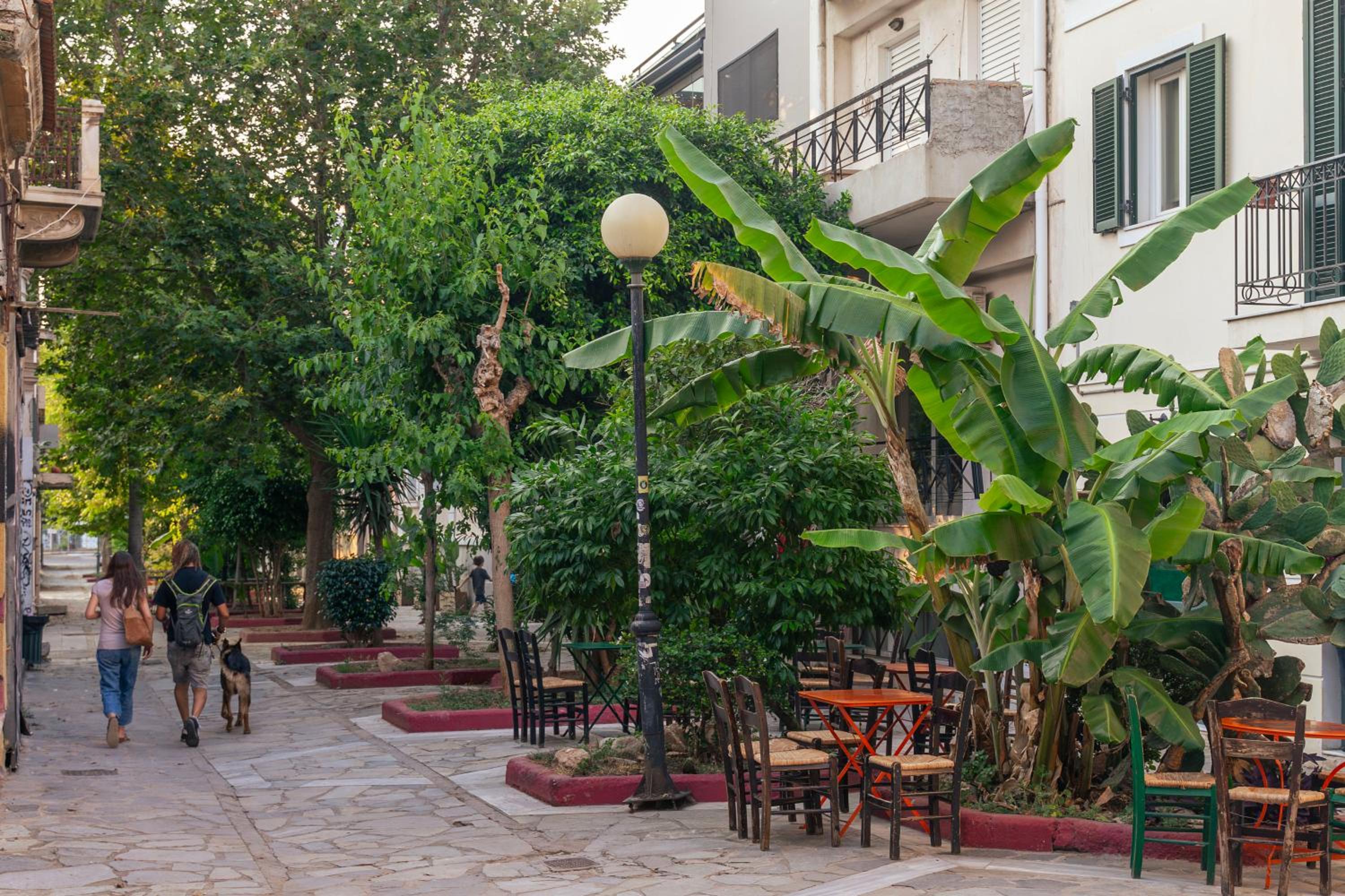 Acropolis View 2BR Apartment
