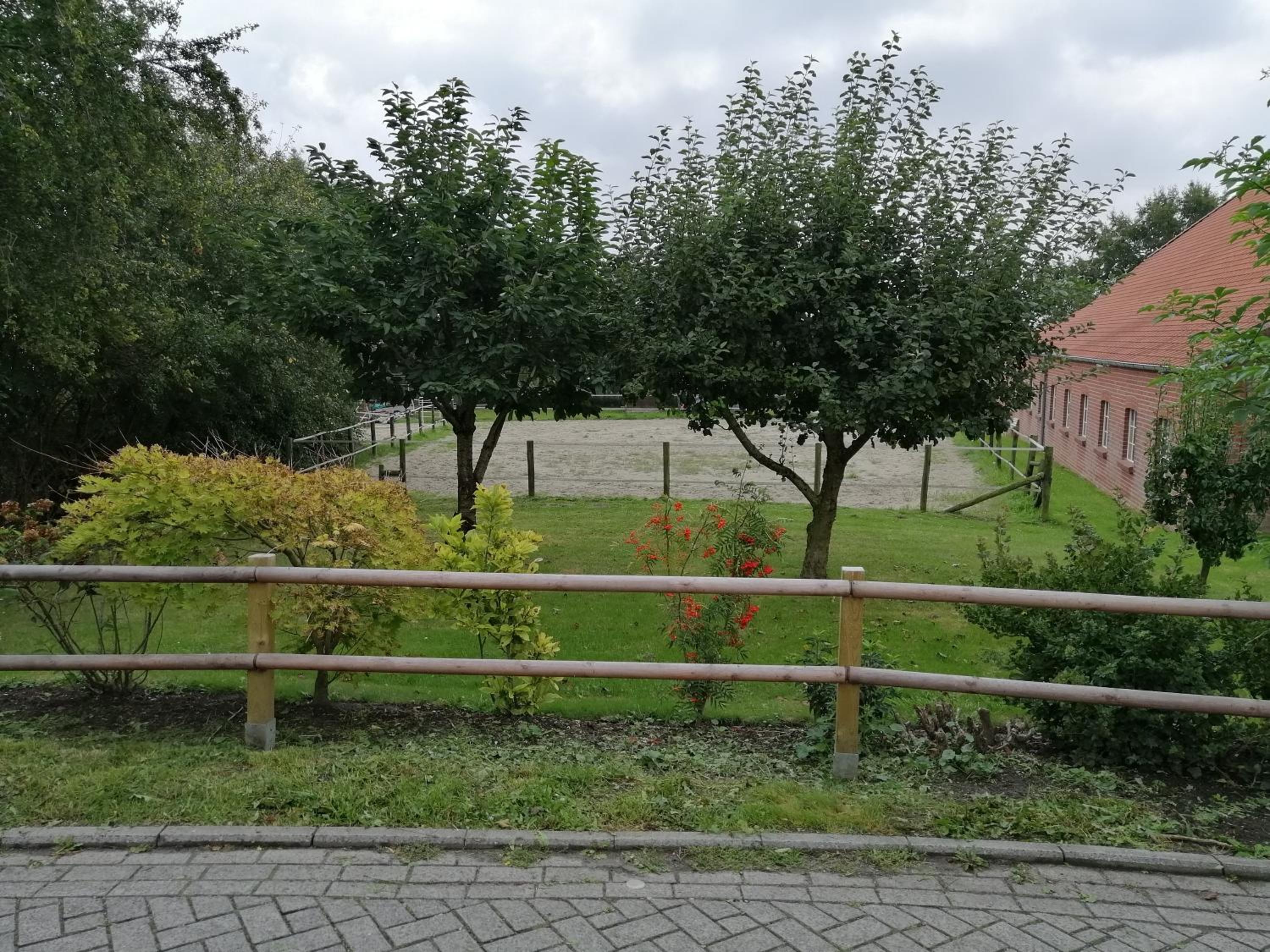 Kapitänsliebe