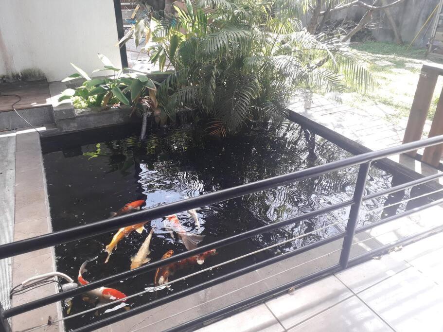 villa avec piscine view 5