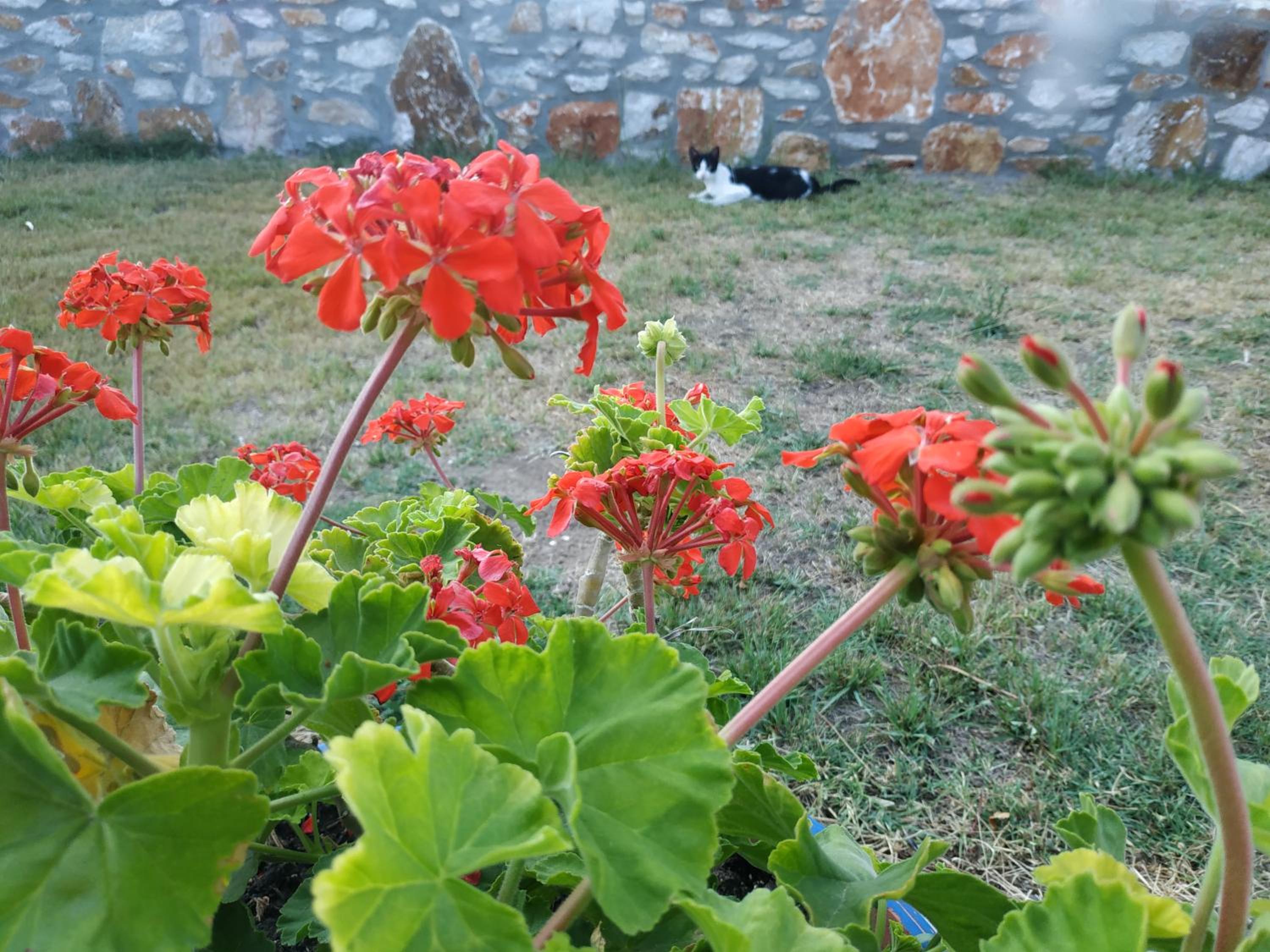 Photo 45