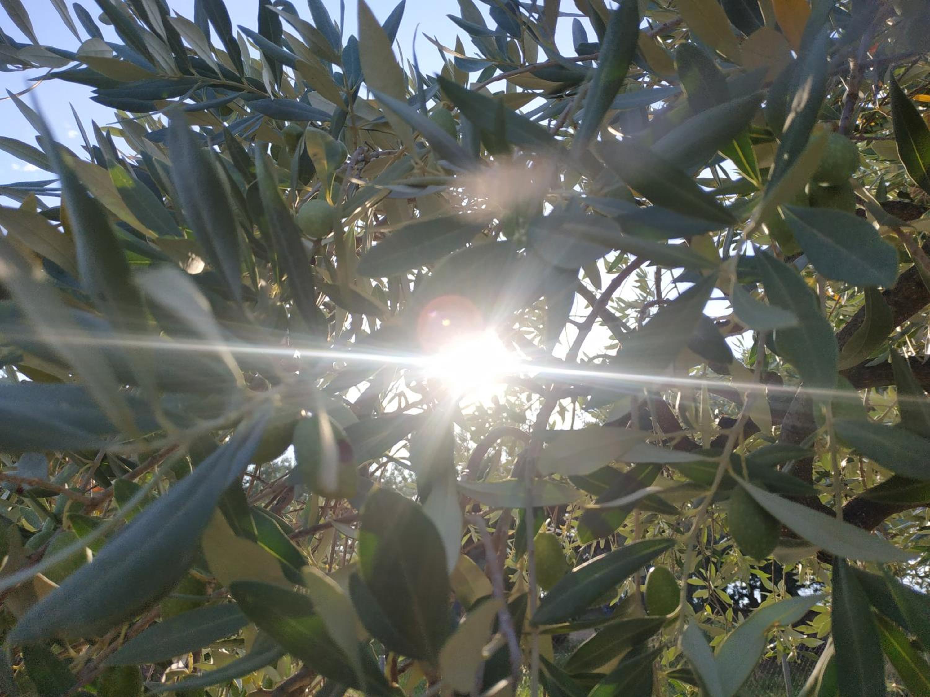 Photo 49