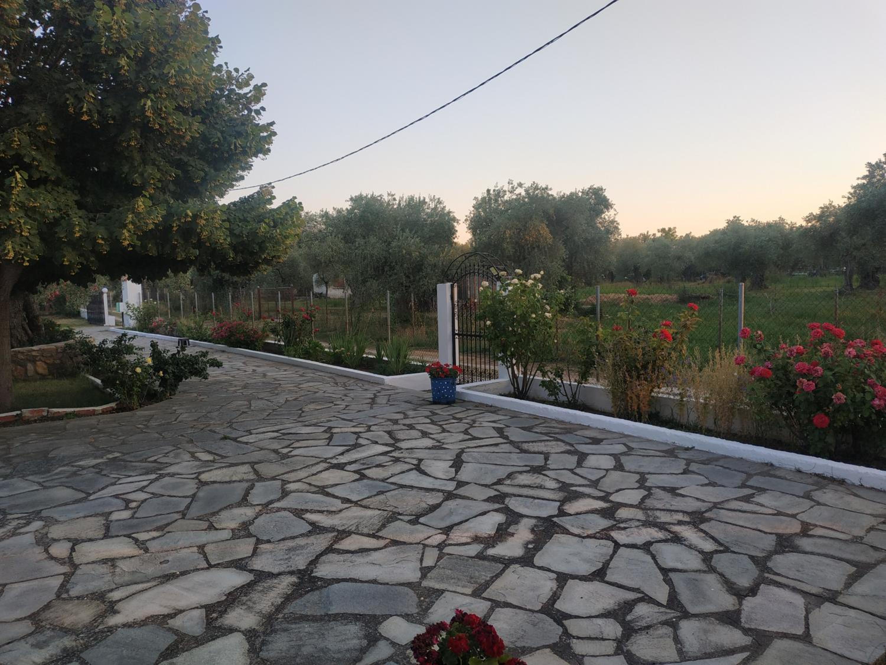 Photo 48