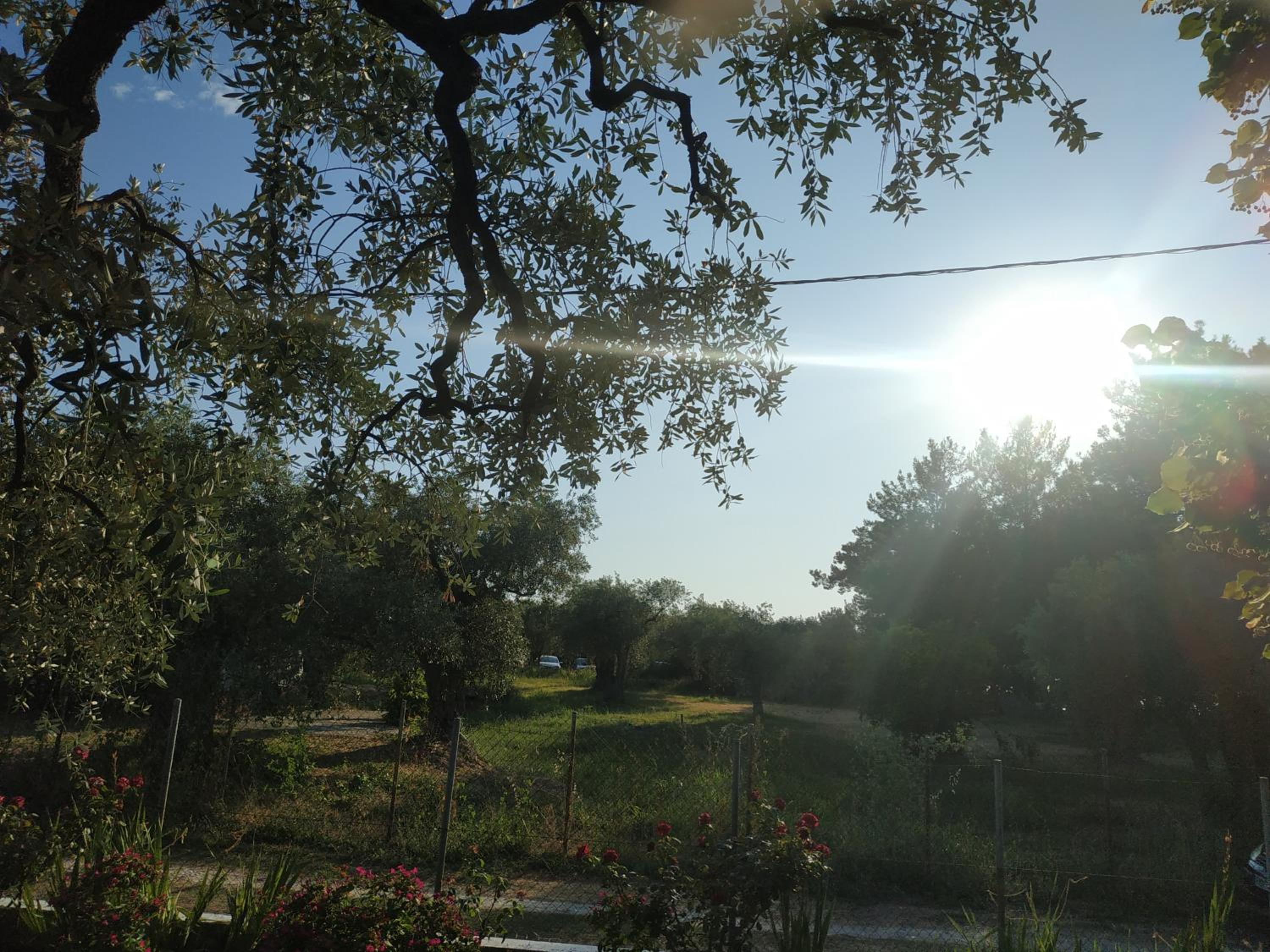 Photo 47