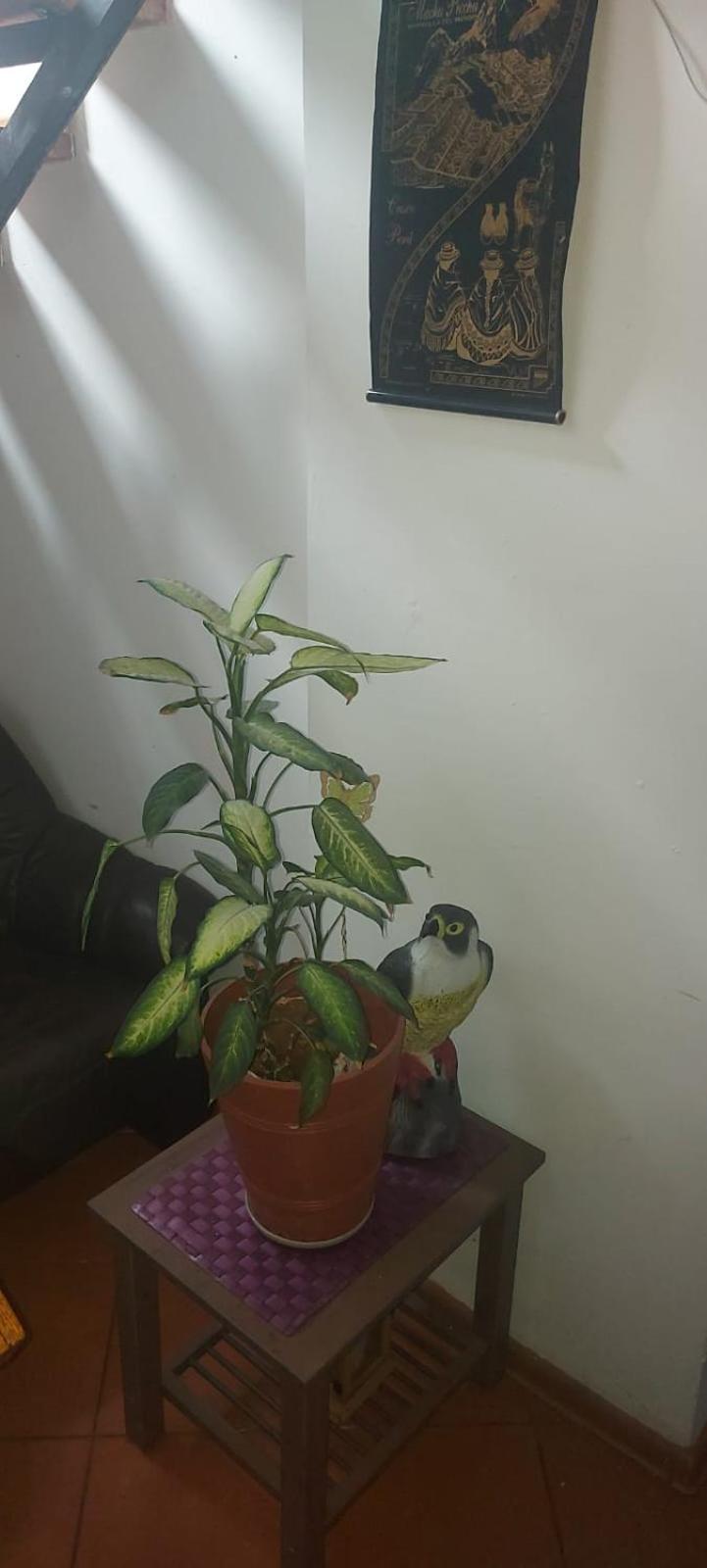 Photo 34