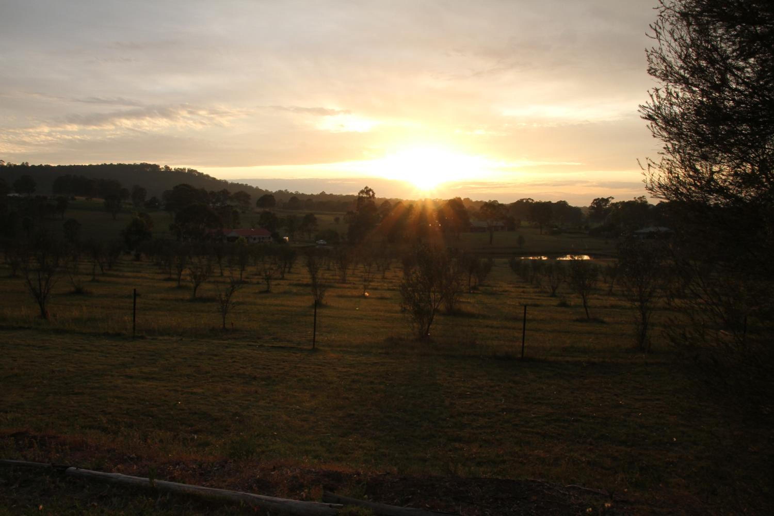 Hunter Homestead, Lovedale