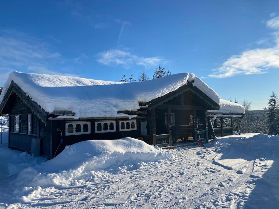 TRYSIL - Koselig norsk fjellhytte view 2