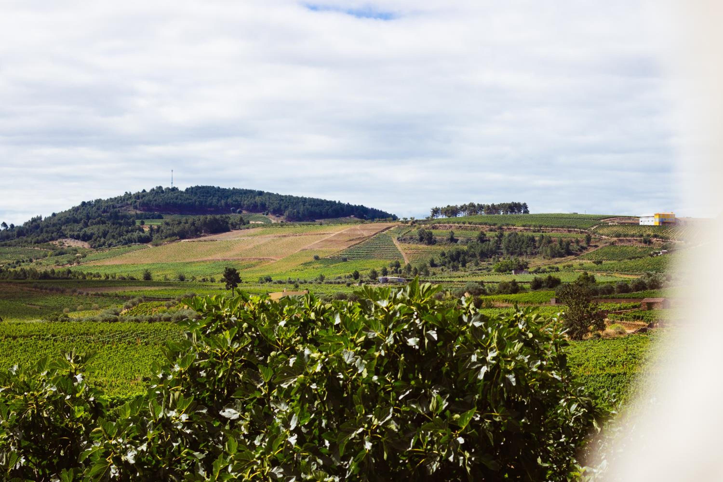 Mourisco Guest House
