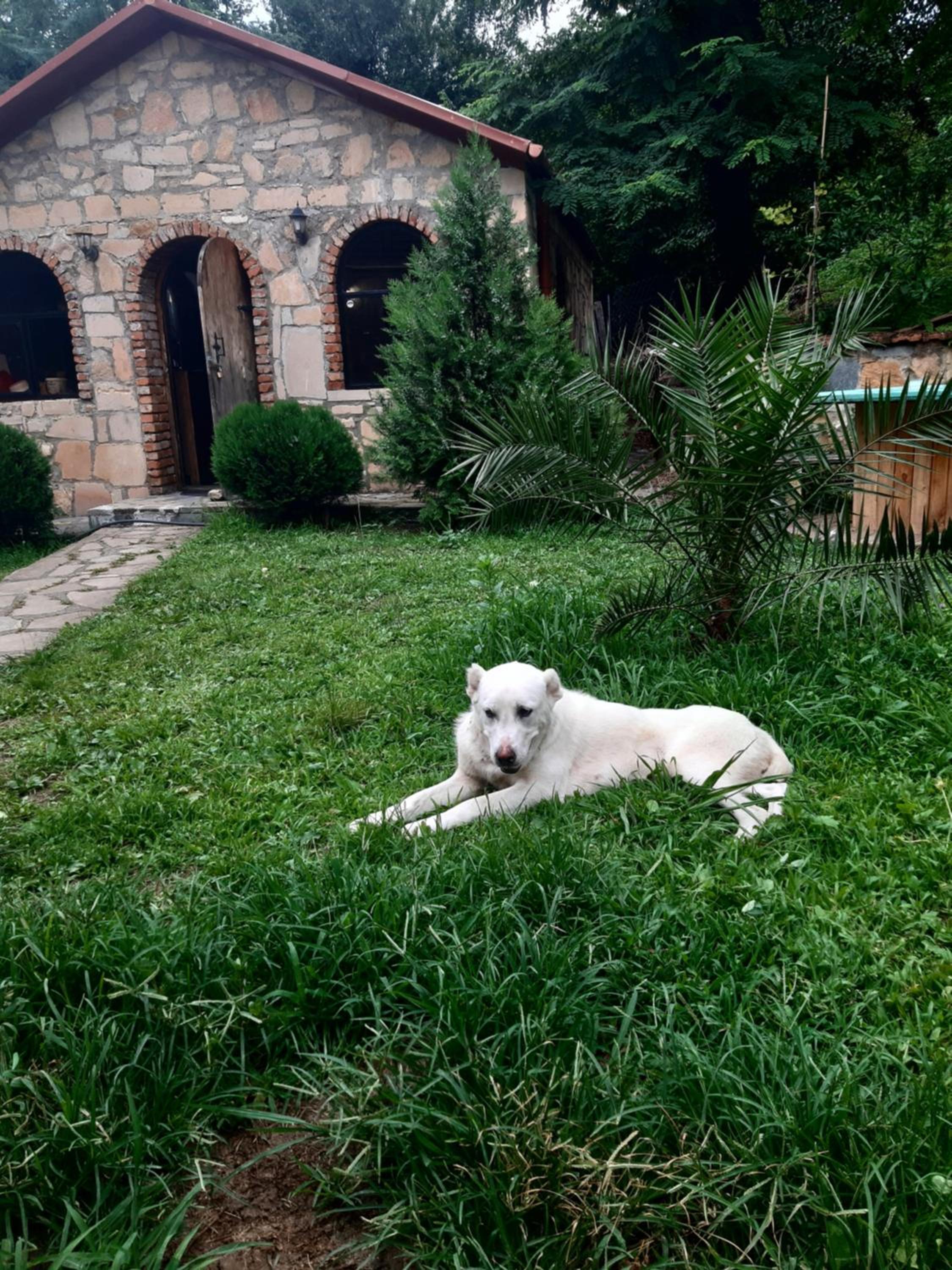 Photo 40