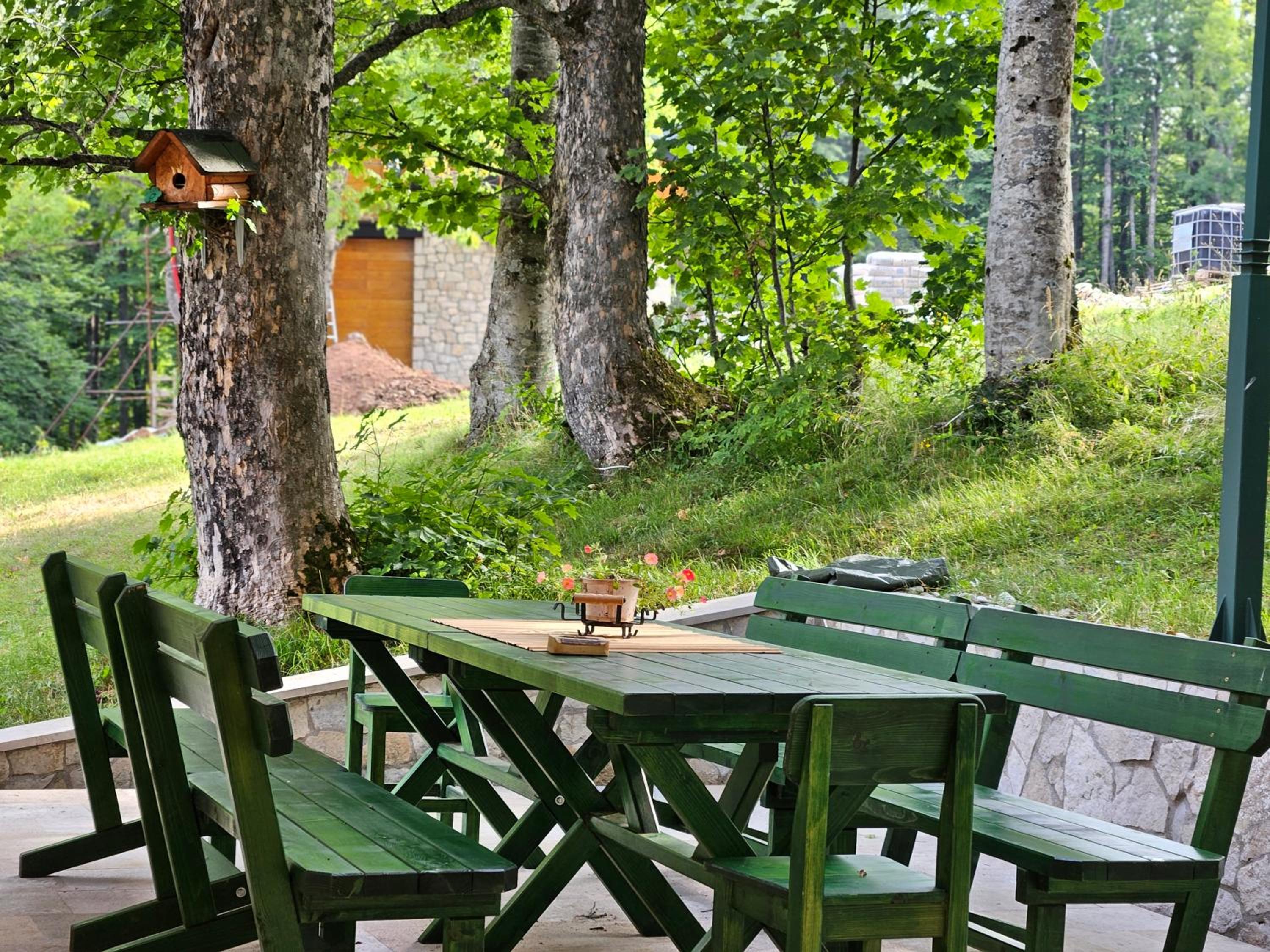 Green Forest photo 4