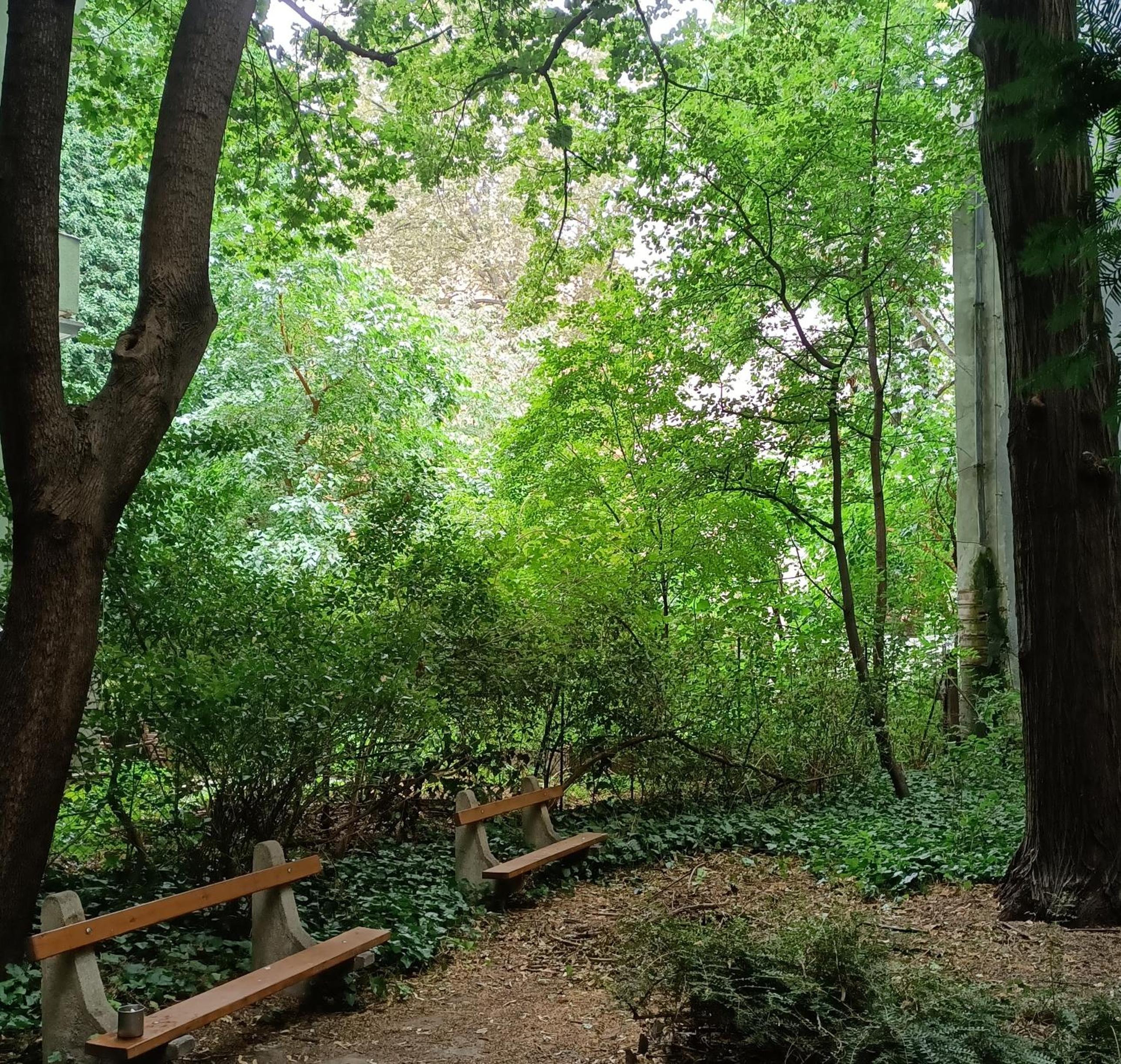 Photo 15