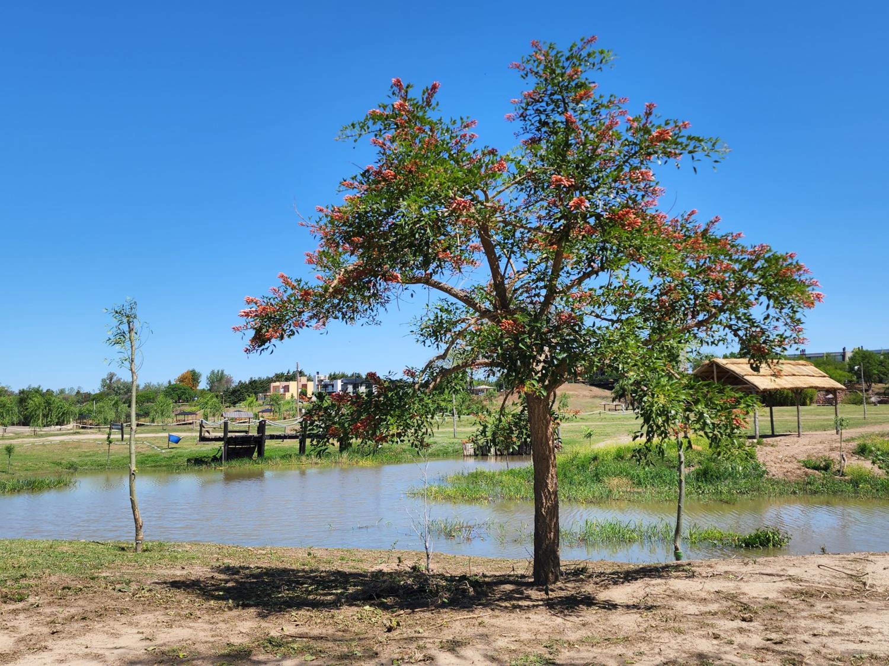 APART CLUB San Pedro Río Naturaleza y Relax