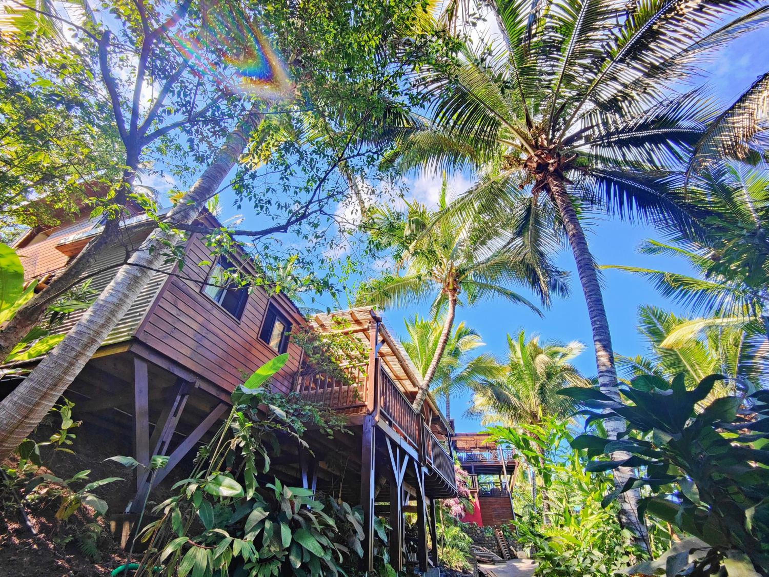 OHANA Jungle Lodges