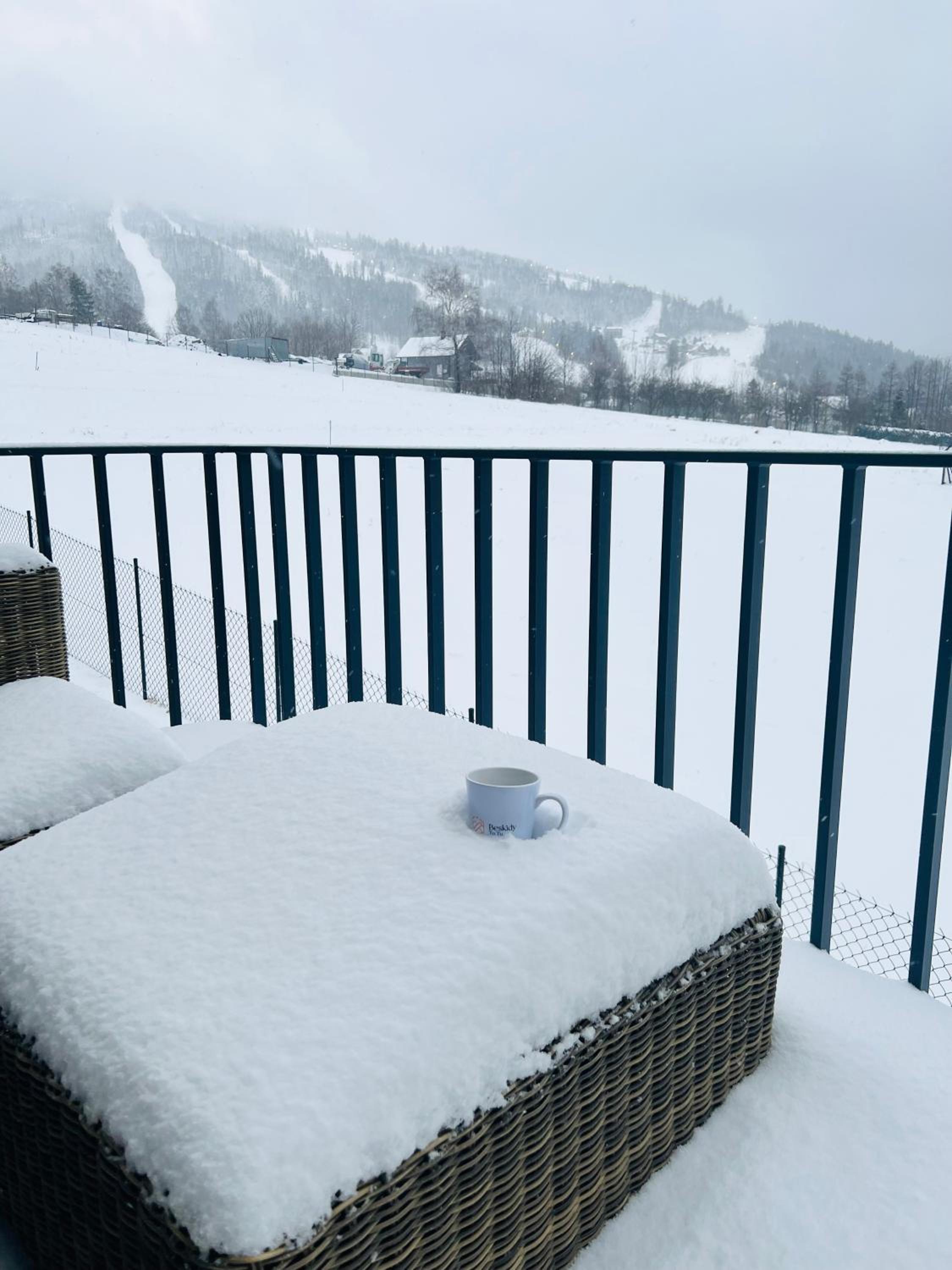 Apartament Olympic - Beskidy To Tu view 2