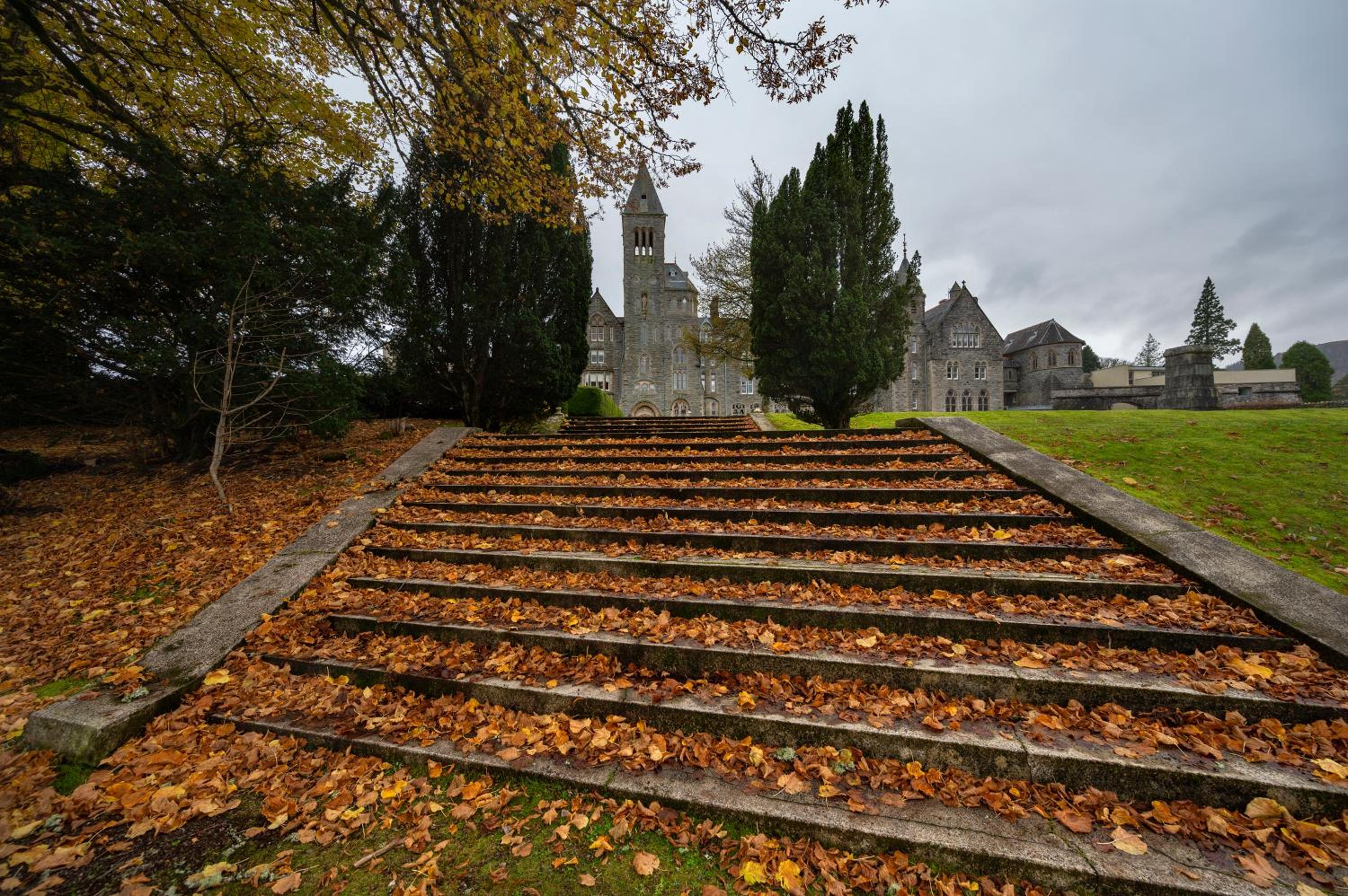 Cloister View