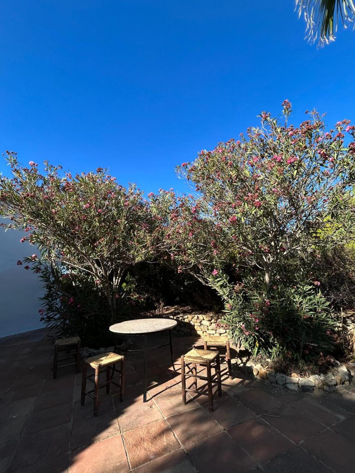 Cortijo Burruelo