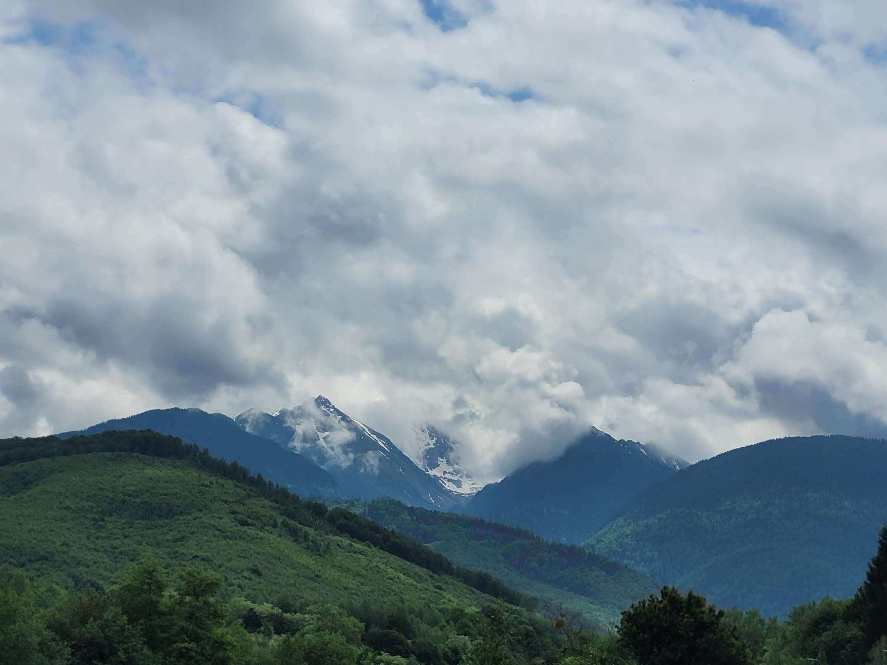 Photo 40